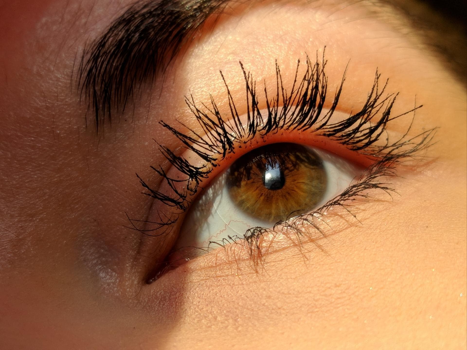 Wimpern