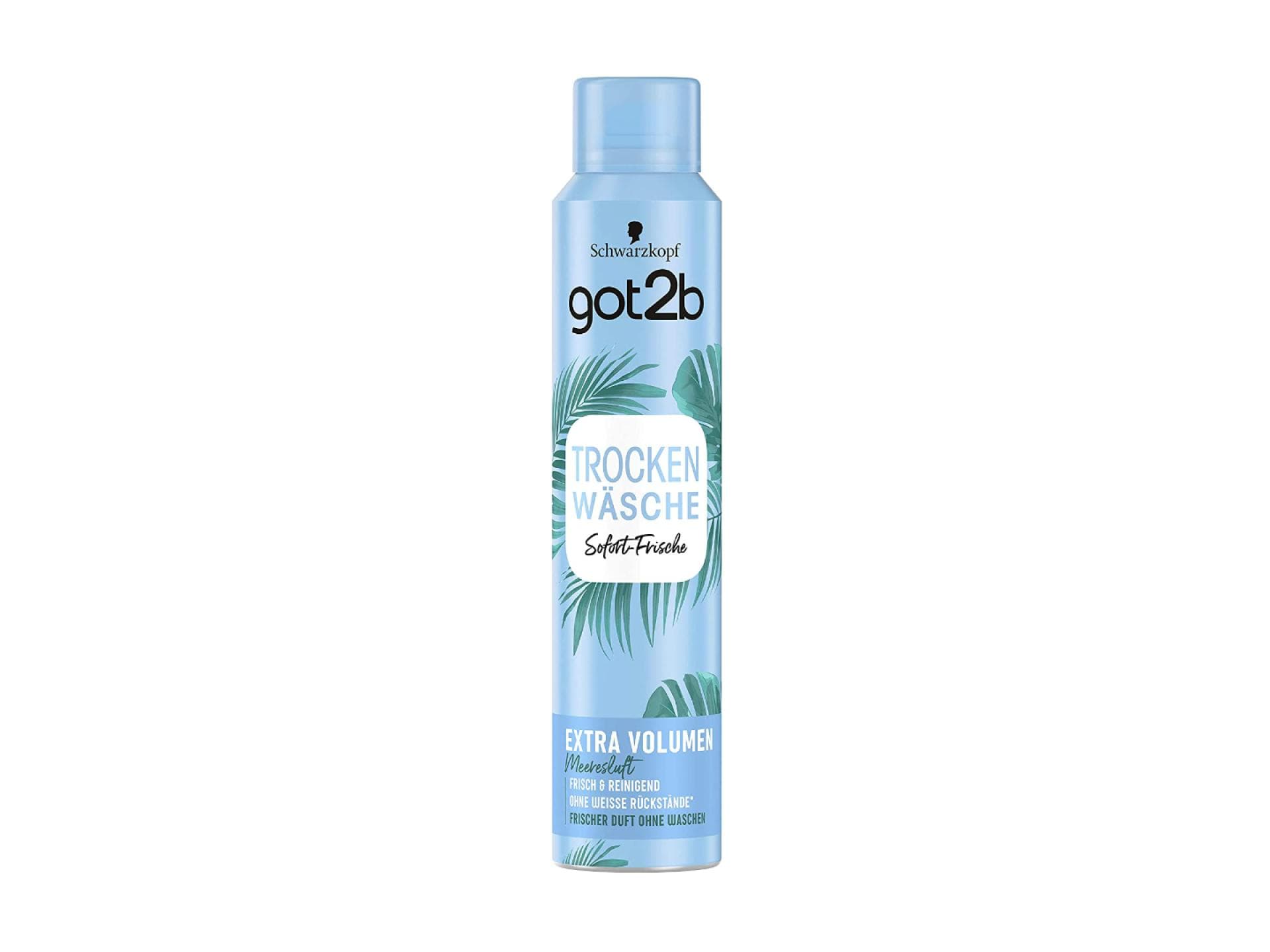 got2b Trockenshampoo got2b Trockenshampoo