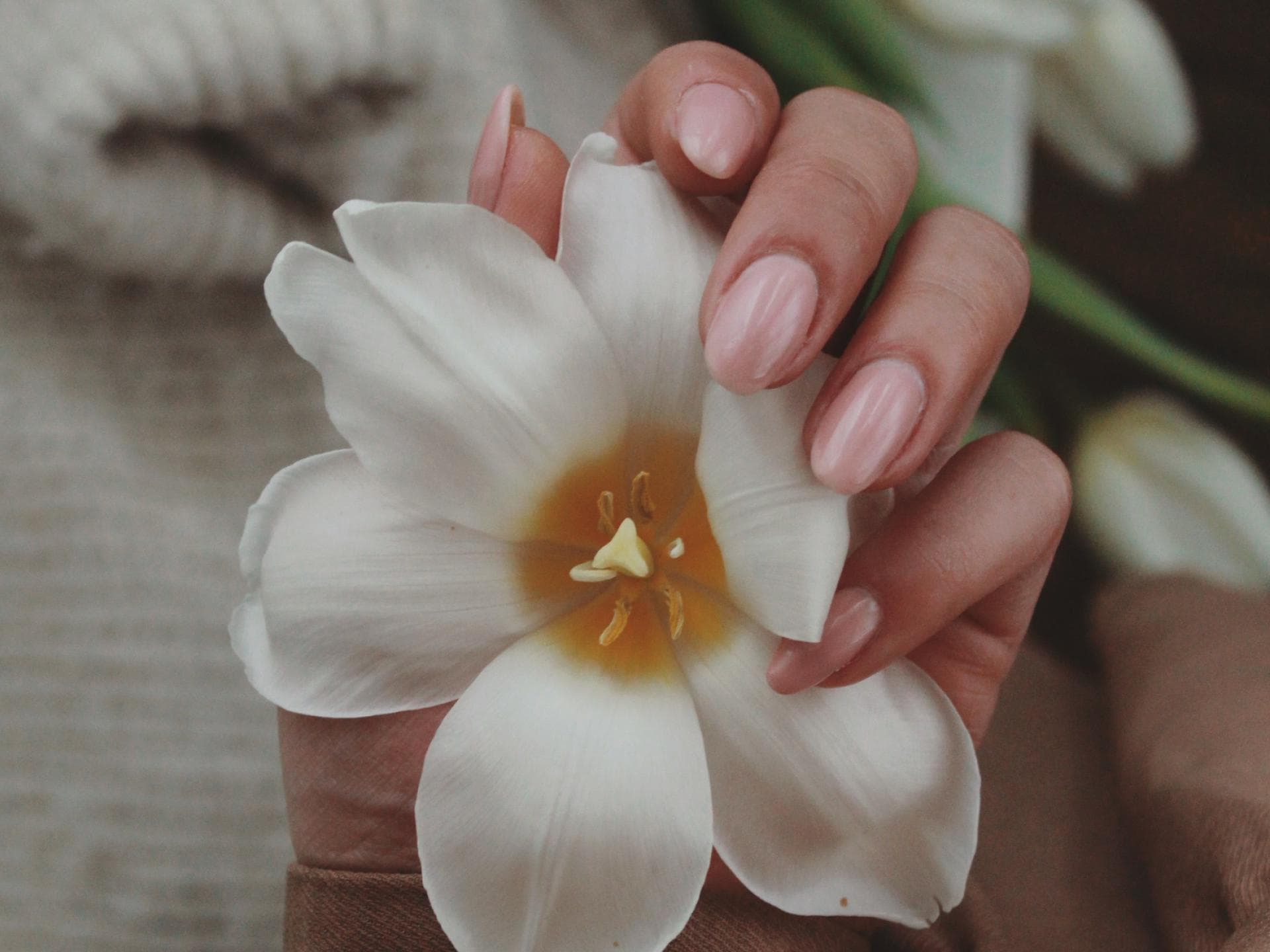 Milky Nails