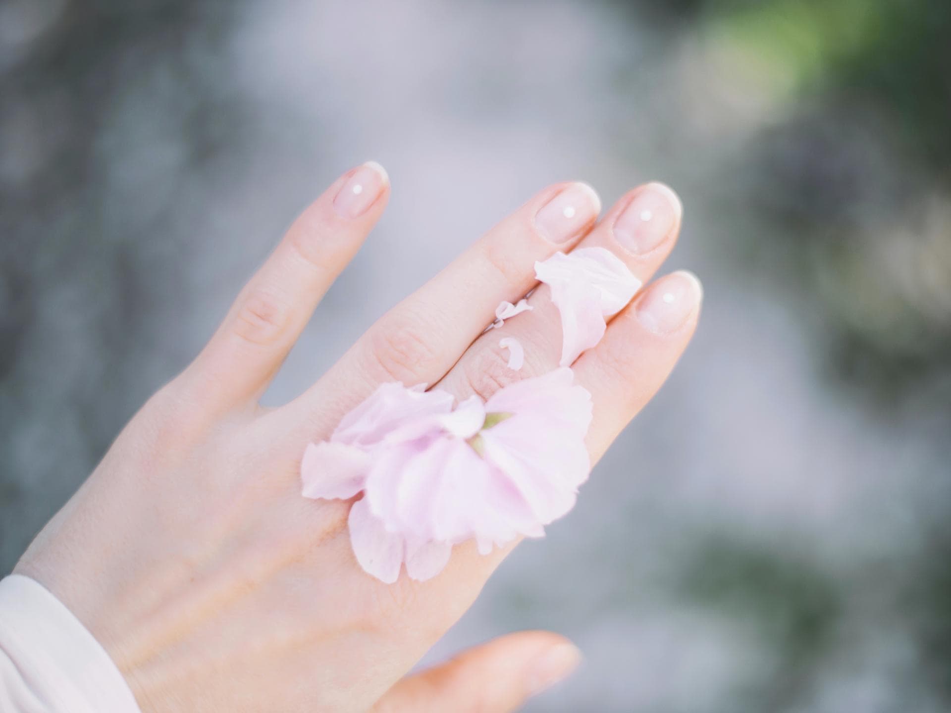 Blumen auf Hand