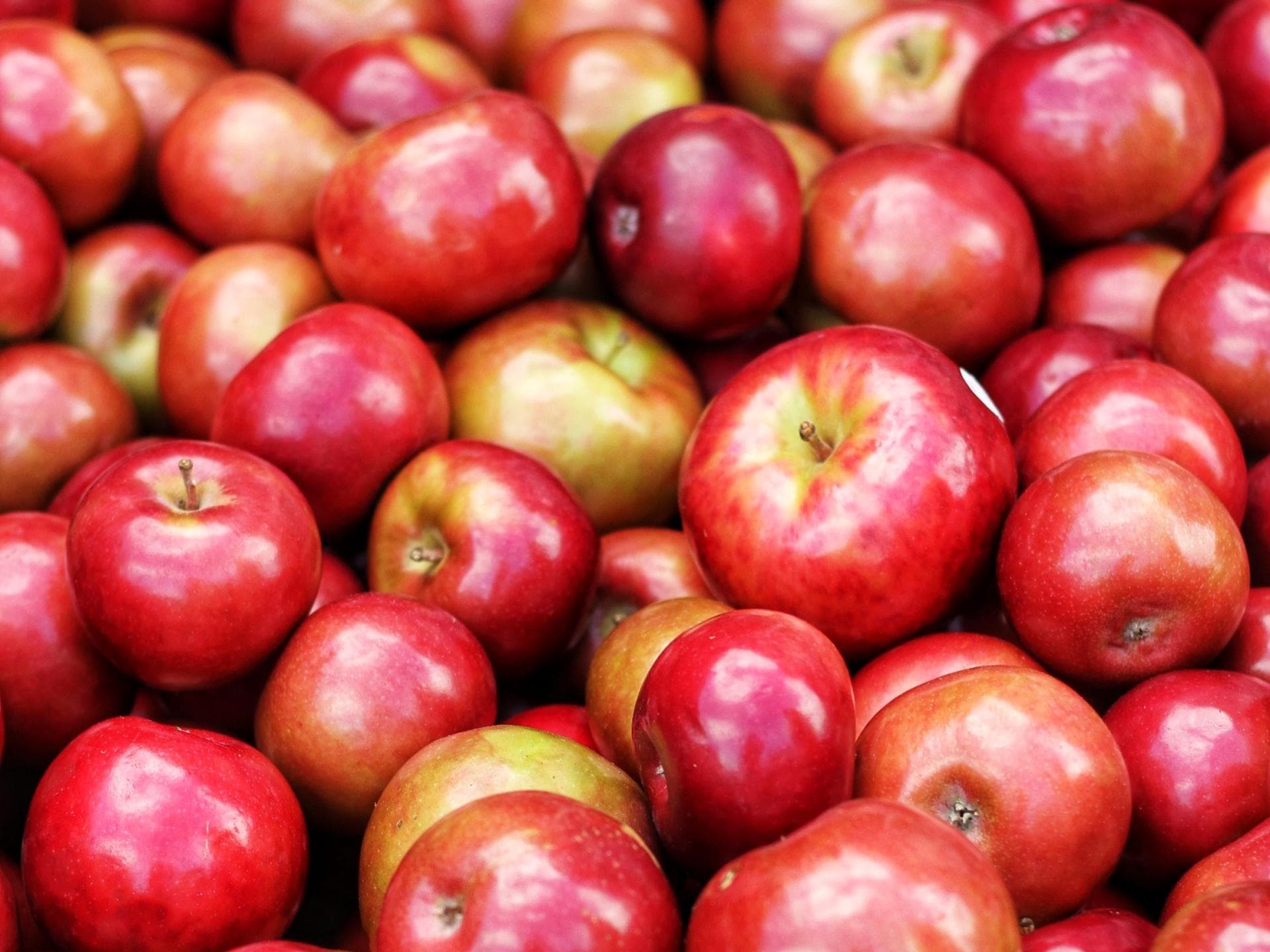 Rote Äpfel