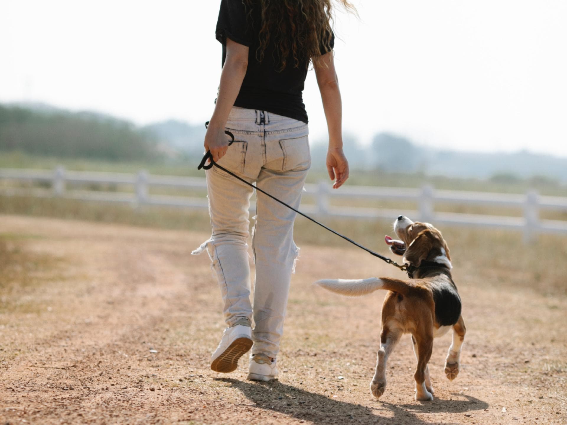 Spaziergang mit Hund