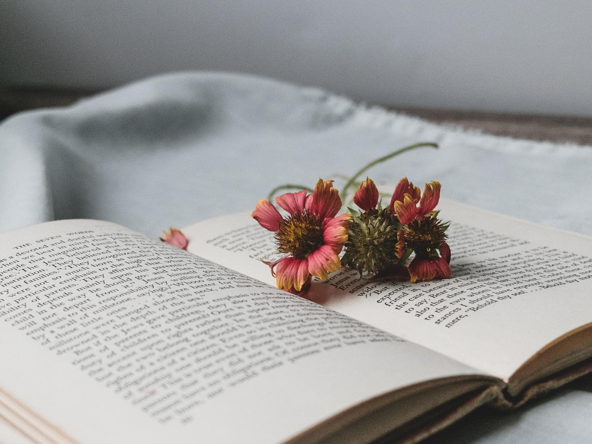 Aufgeklapptes Buch