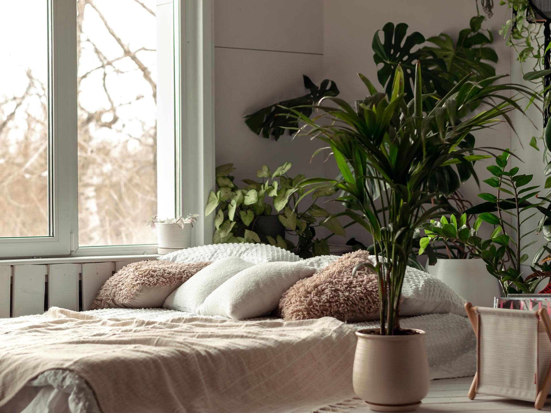 Schlafzimmer Zimmerpflanzen