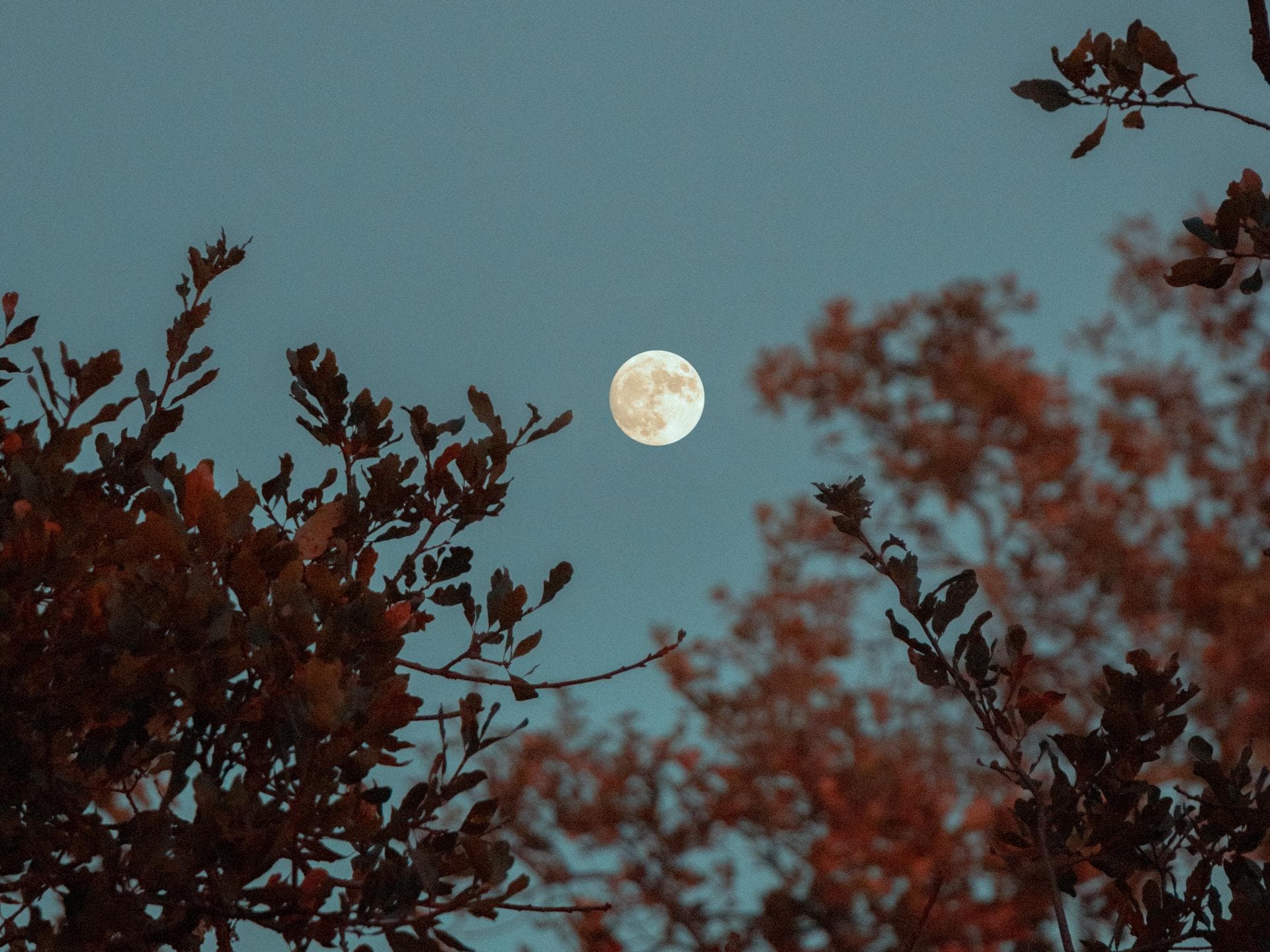 Vollmond Auswirkung 