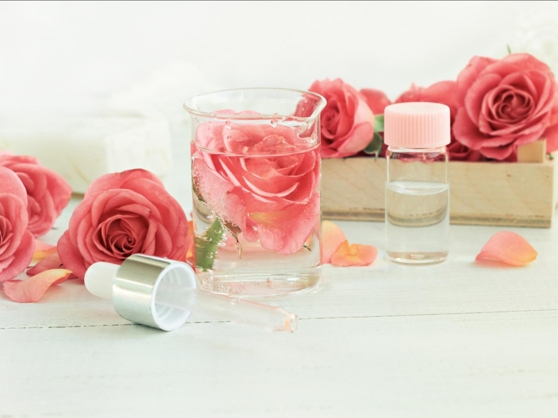 Rosenwasser selber machen