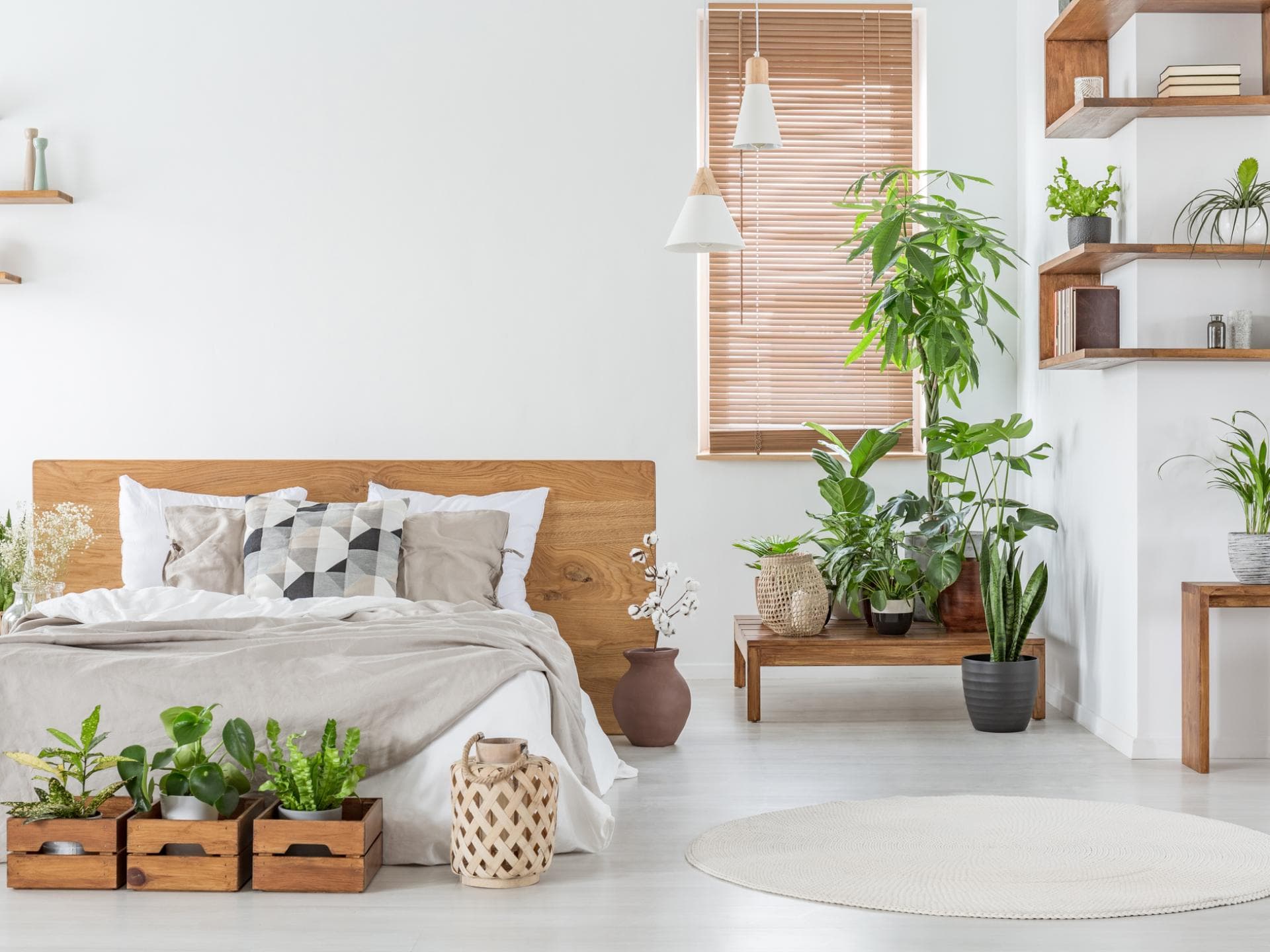 Pflanzen im Schlafzimmer