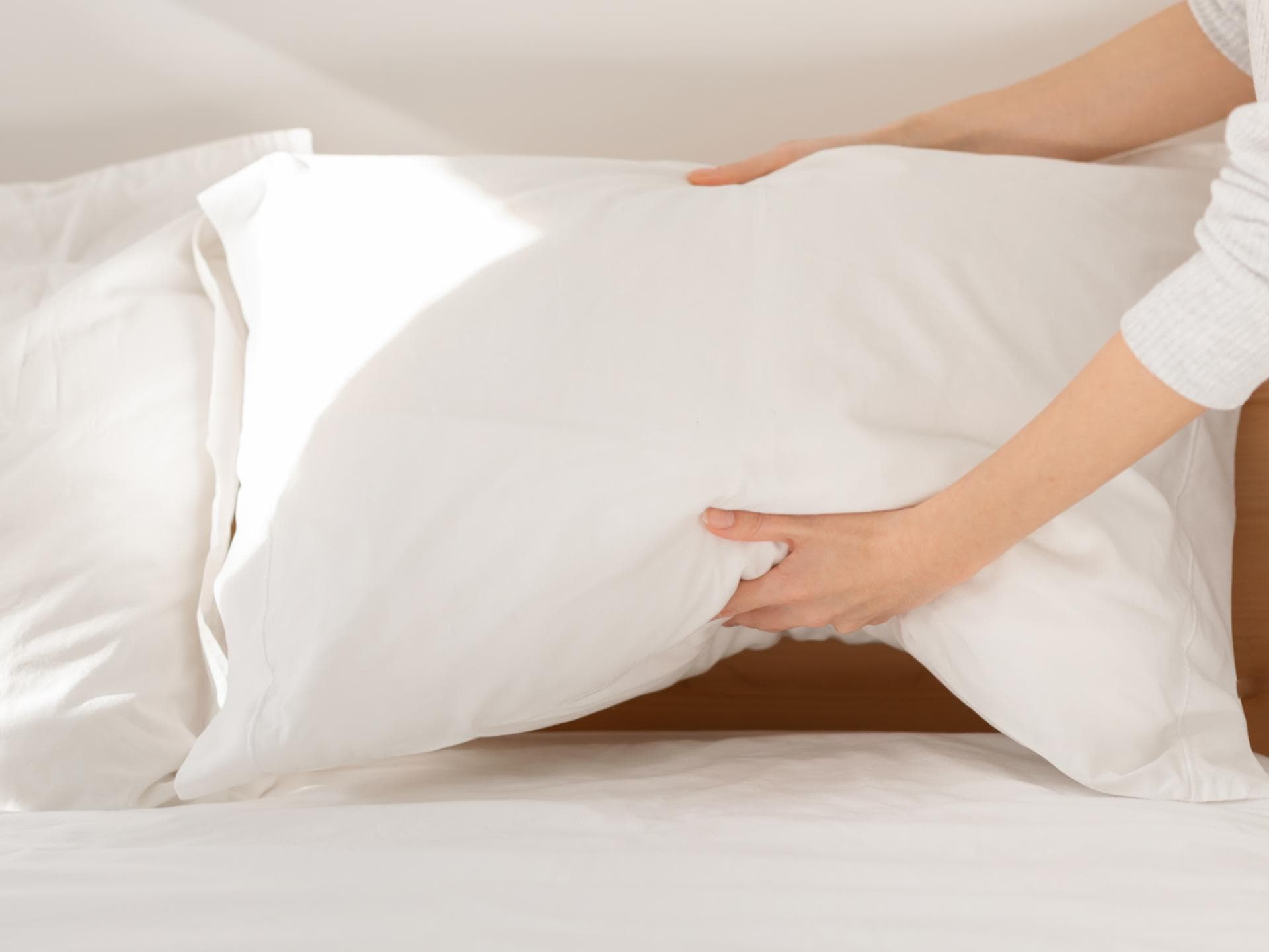 Daunenkissen waschen Daunenkissen waschen