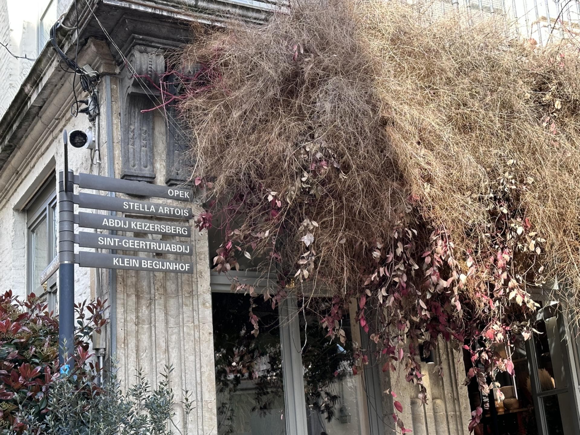 Mechelsestraat Leuven
