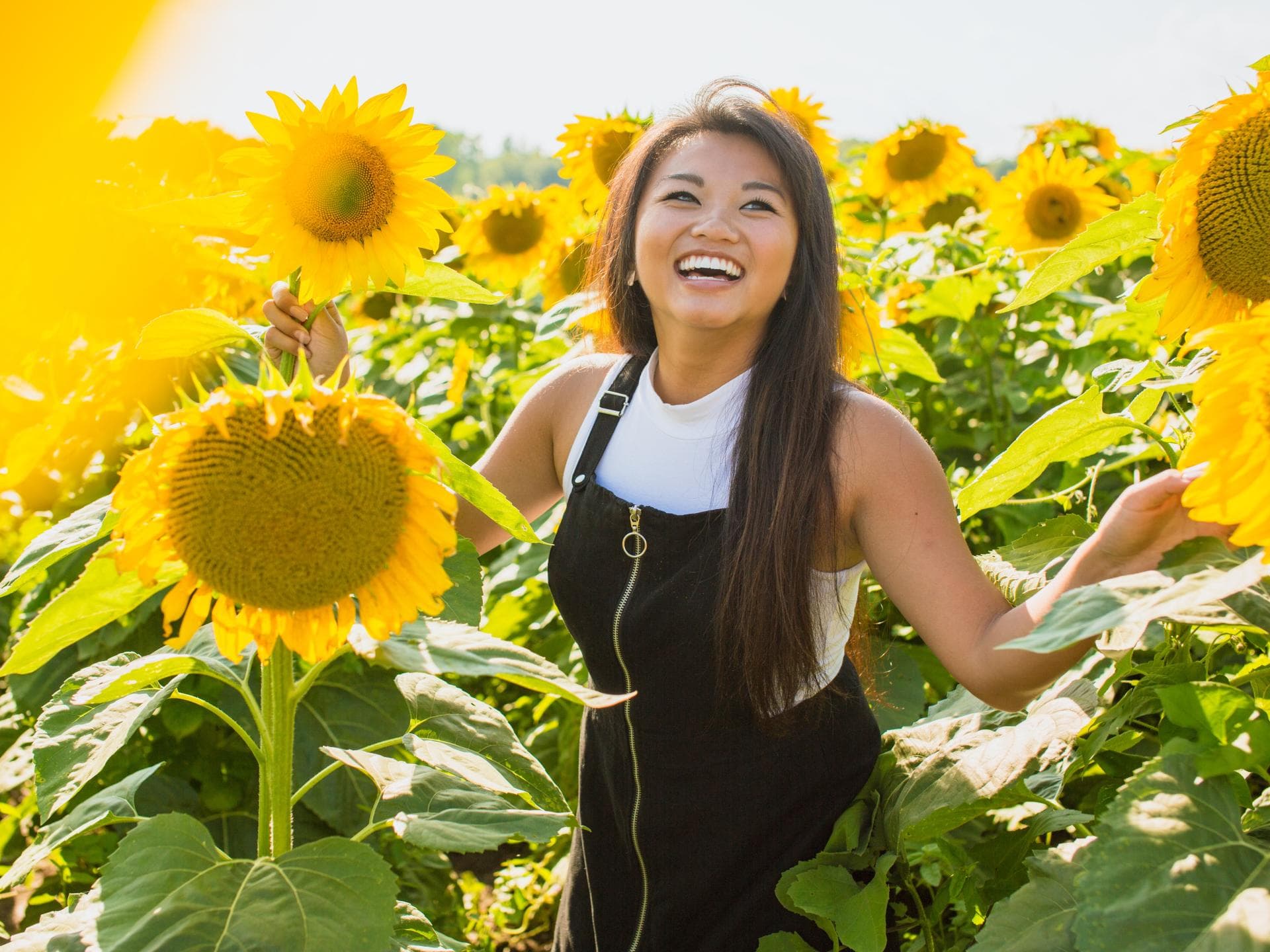 Frau im Sonnenblumenfeld