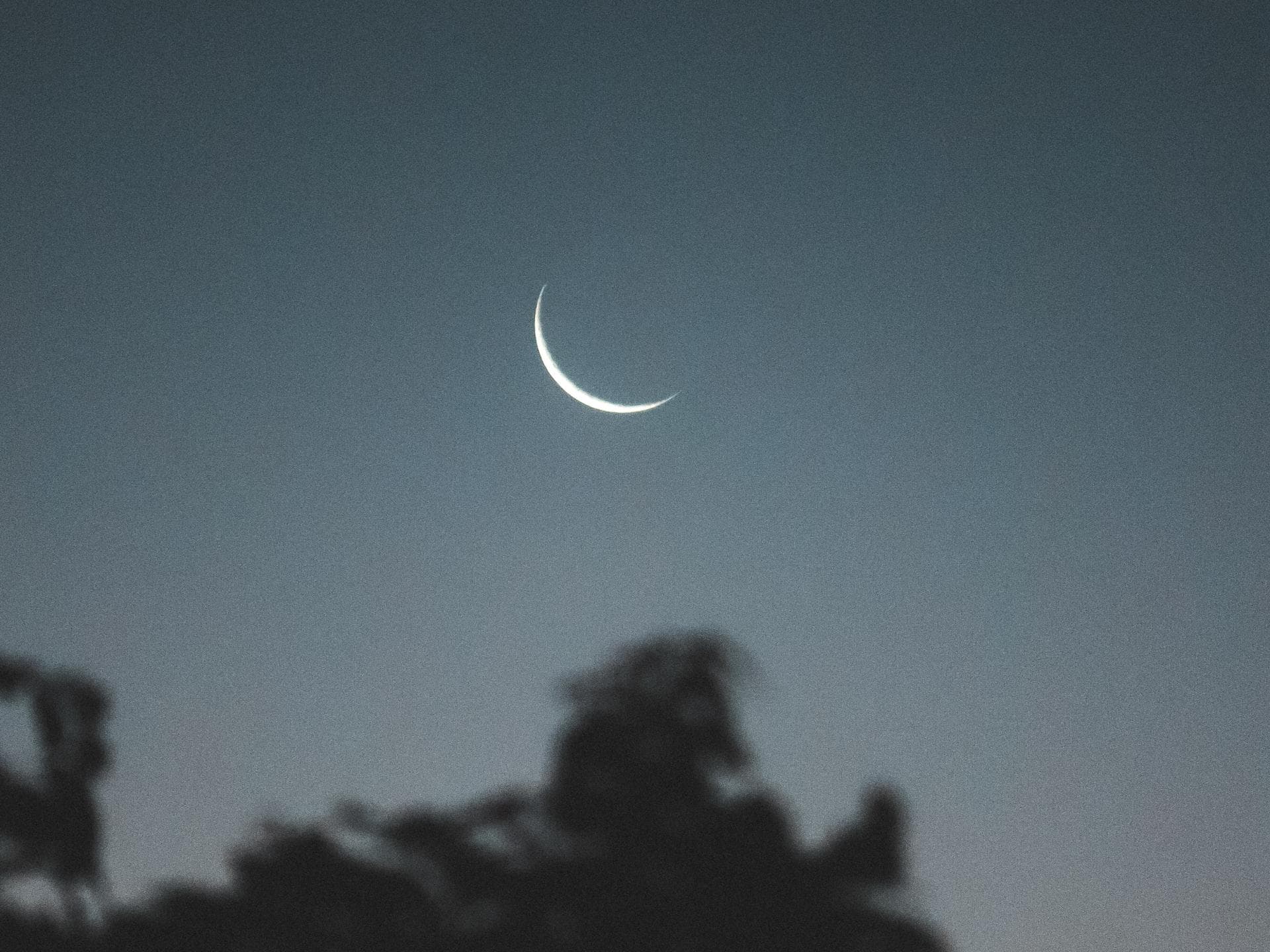 Astrologie Mond am Nachthimmel