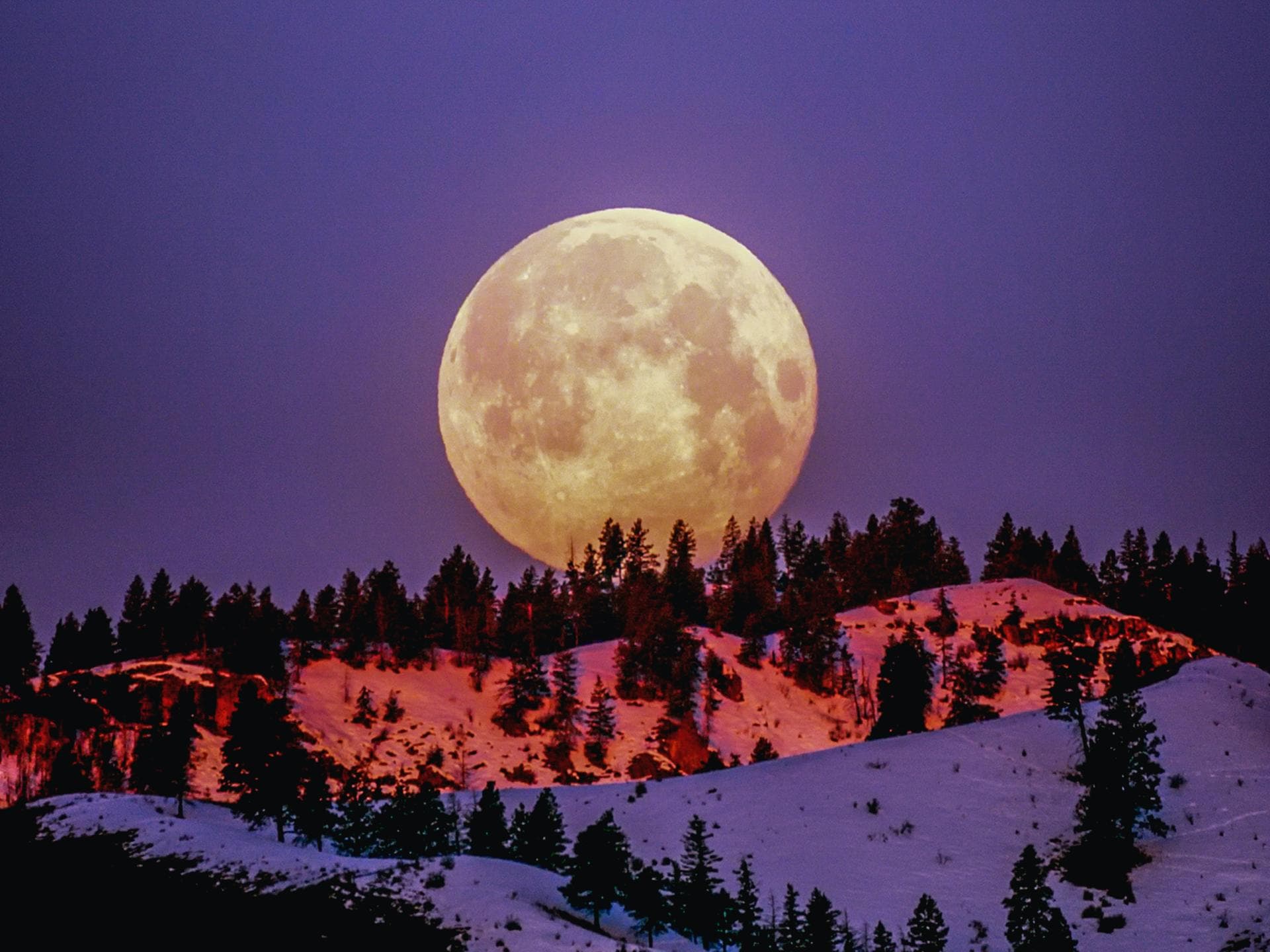 Vollmond