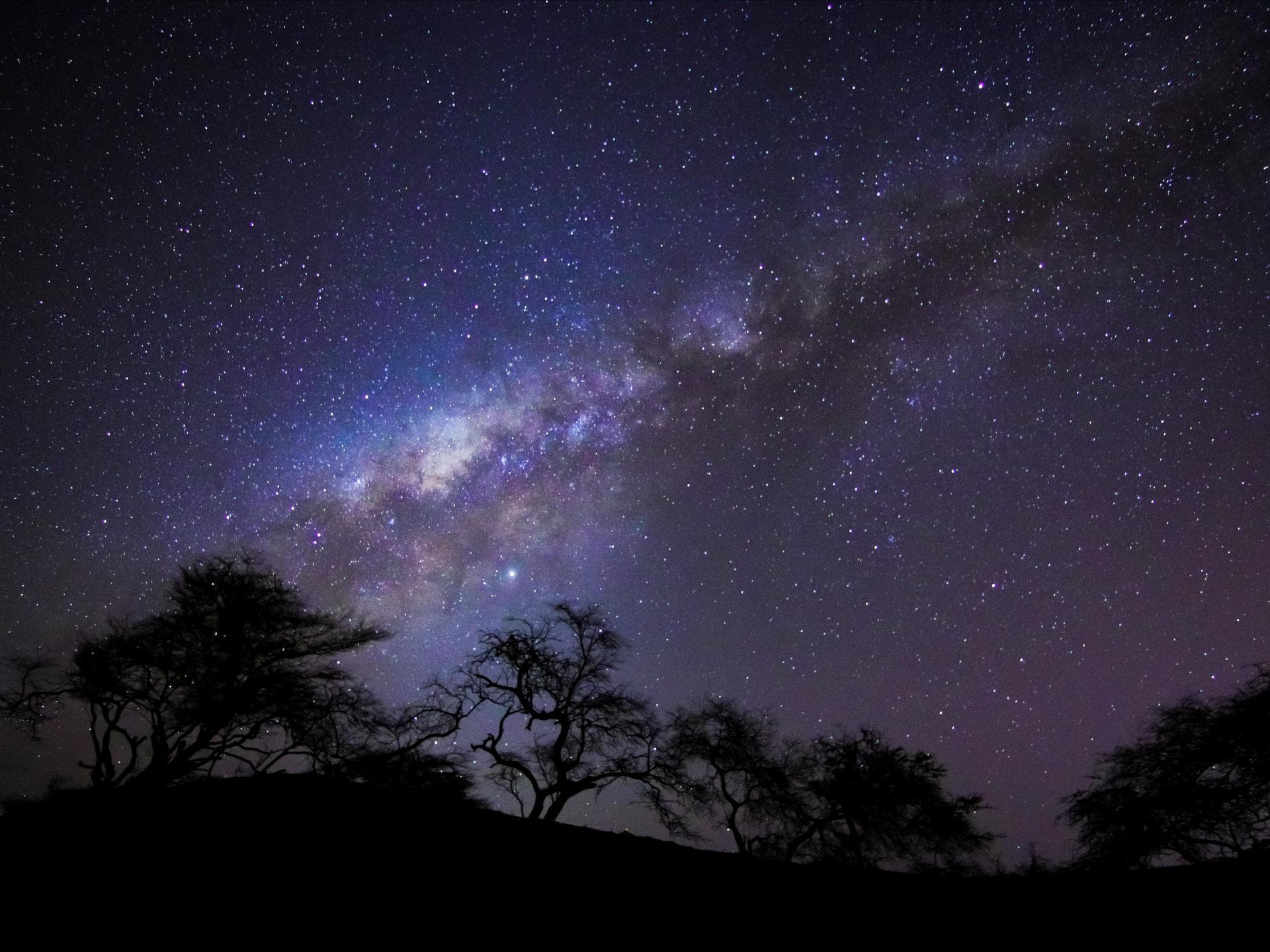 Universum