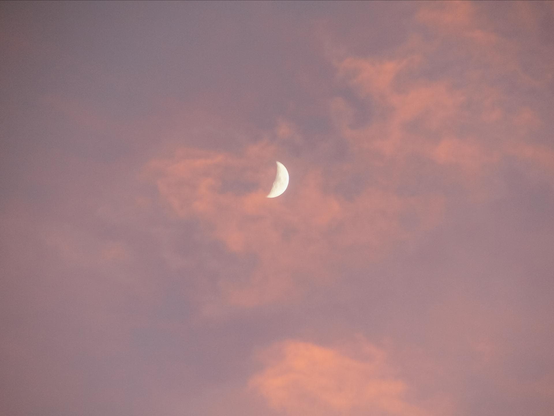 Tageshoroskop für alle Sternzeichen Mond am rosafarbenen Himmel