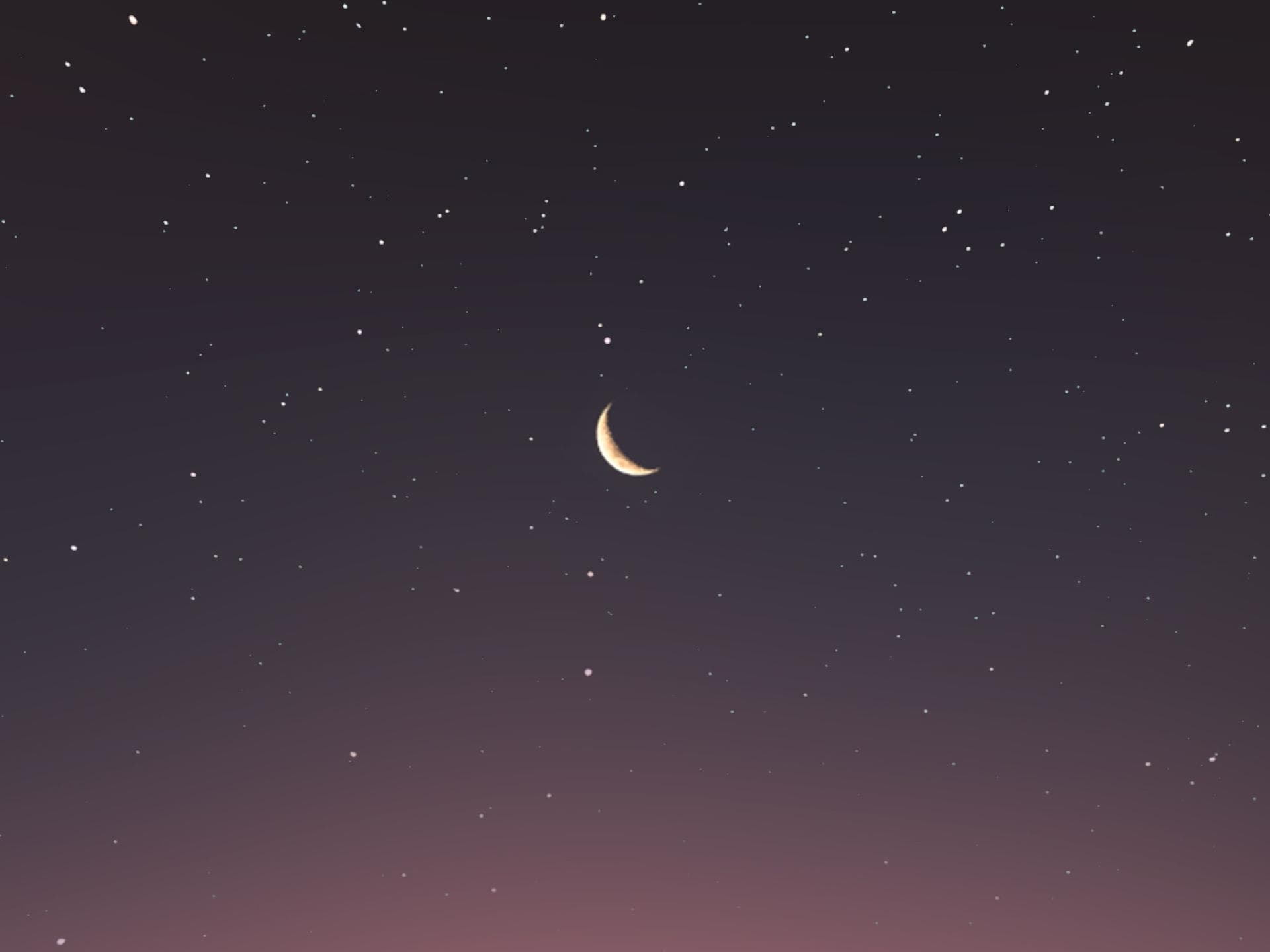 4 Sternzeichen müssen an Weihnachten unbedingt den ersten Schritt wagen