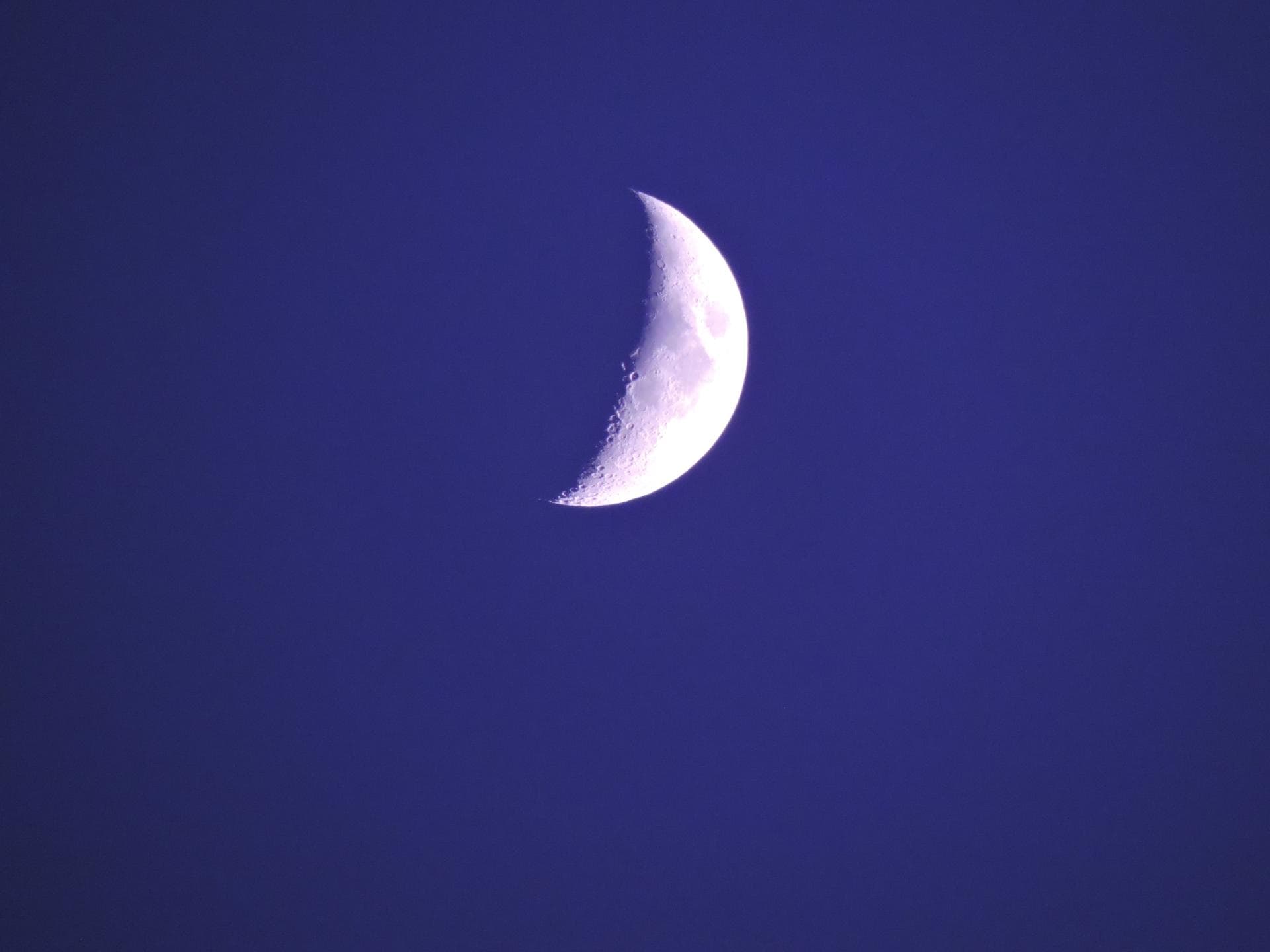 Mond