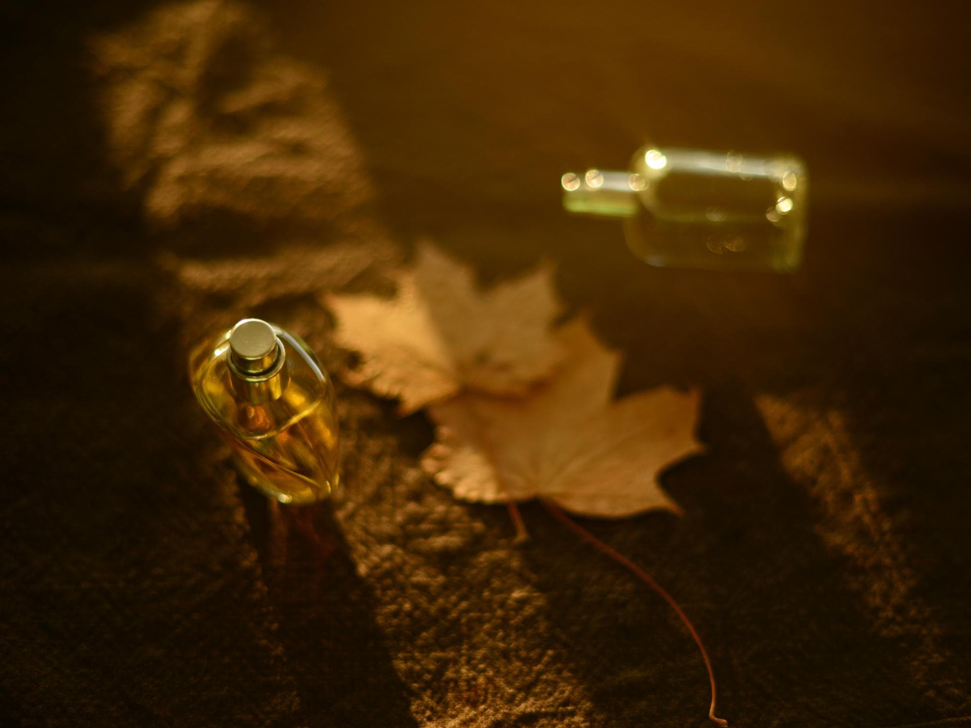 Parfum-Trends