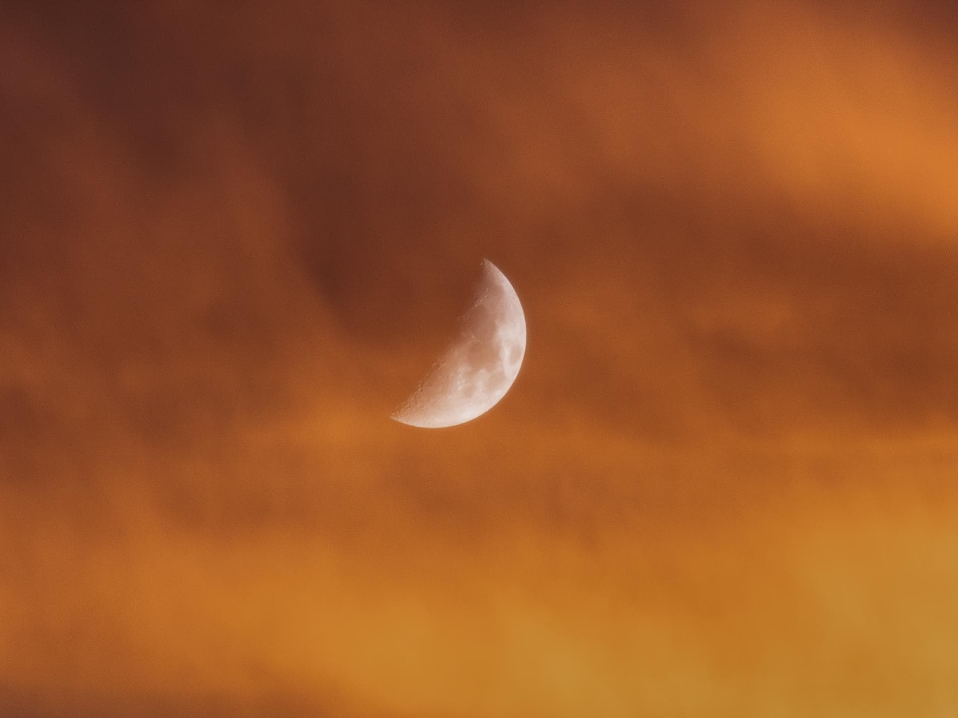 Zunehmender Mond am orangefarbenen Himmel mit einem Baum