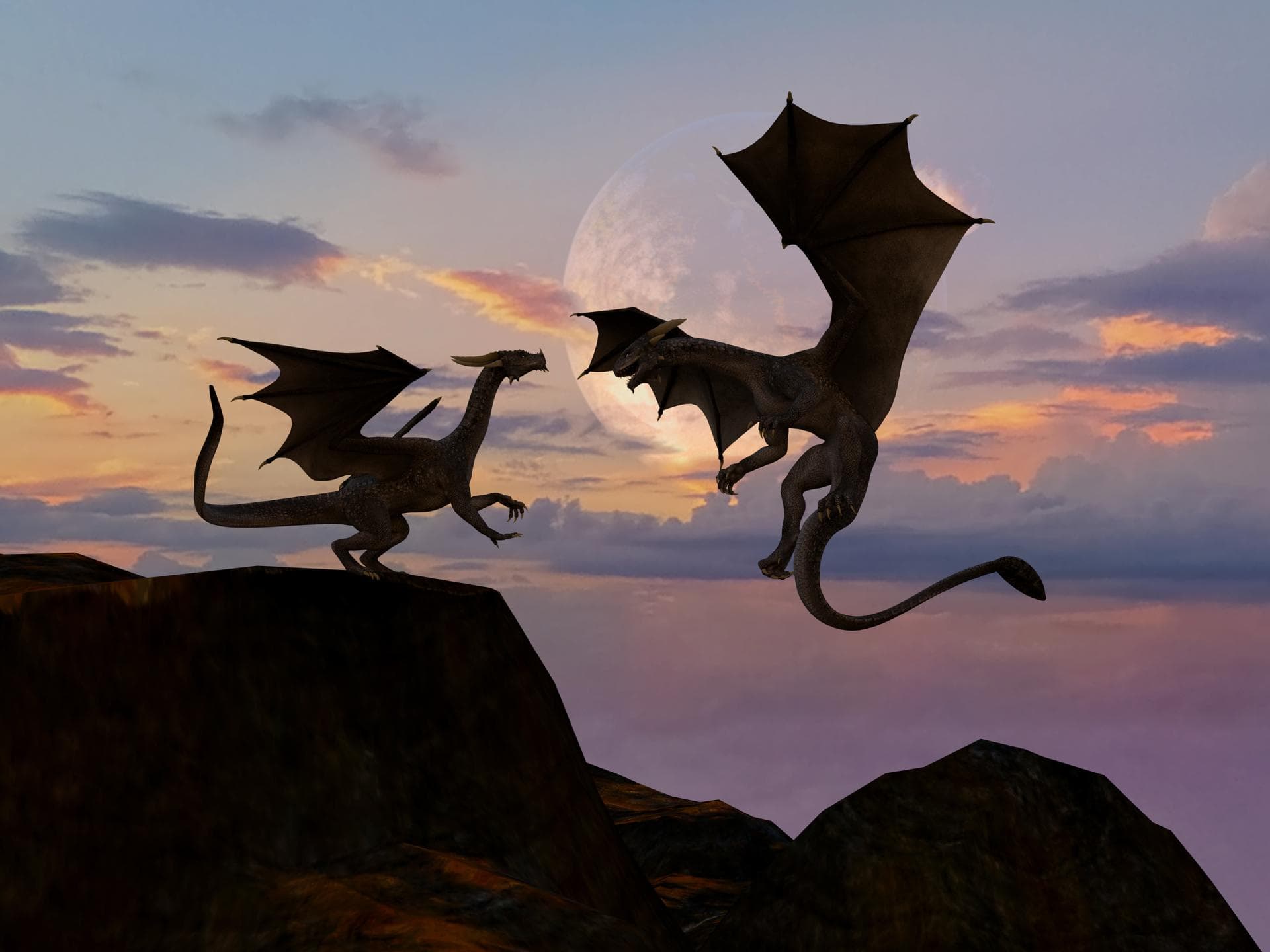 Zwei Drachen auf einem Fels