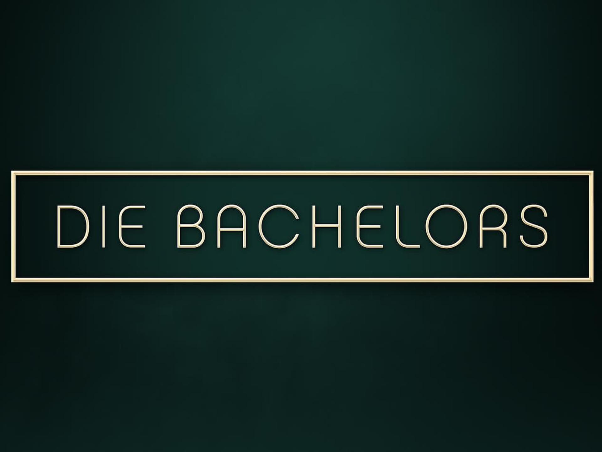 Die Bachelors Logo