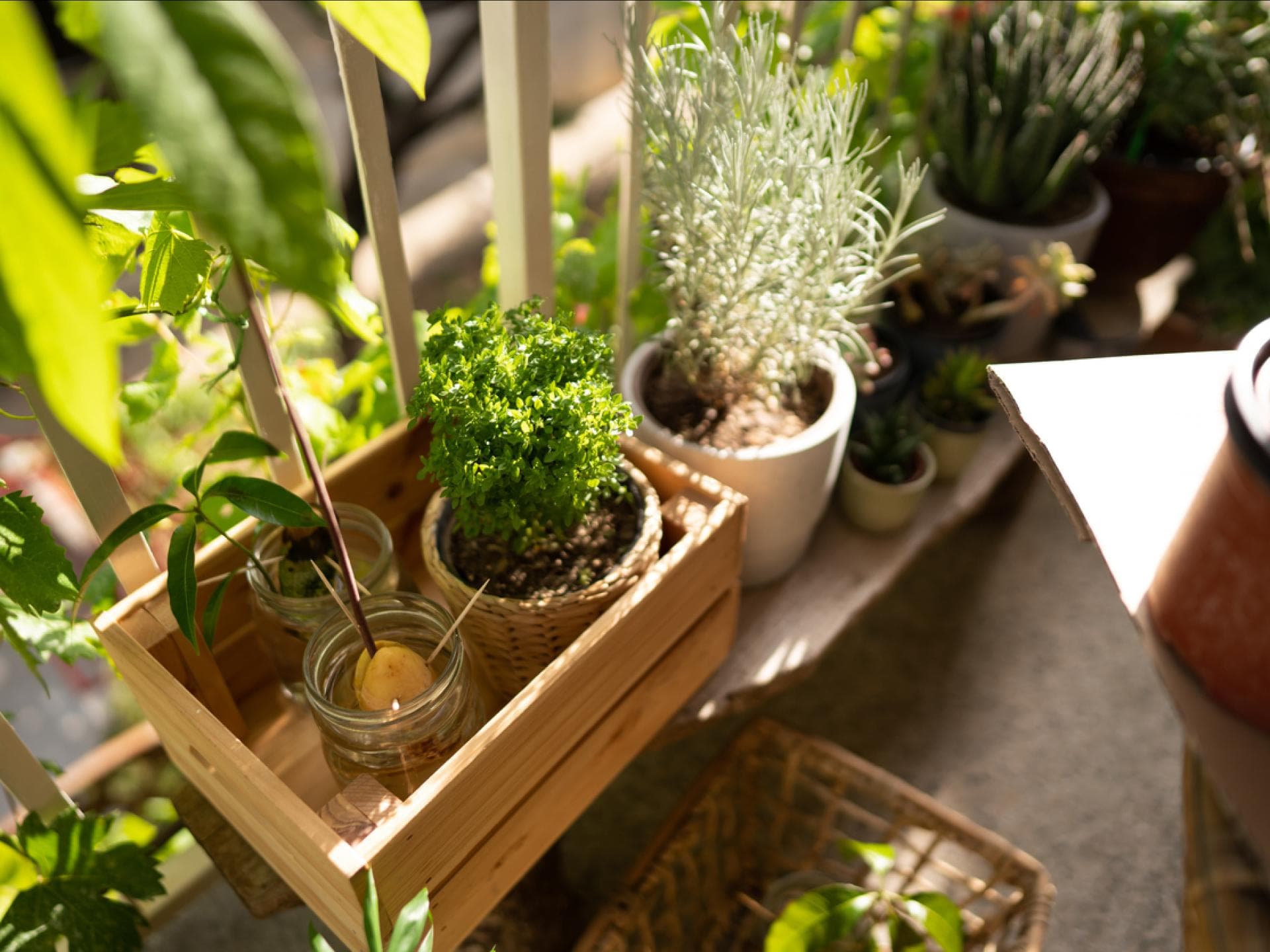 Kräutergarten Balkon