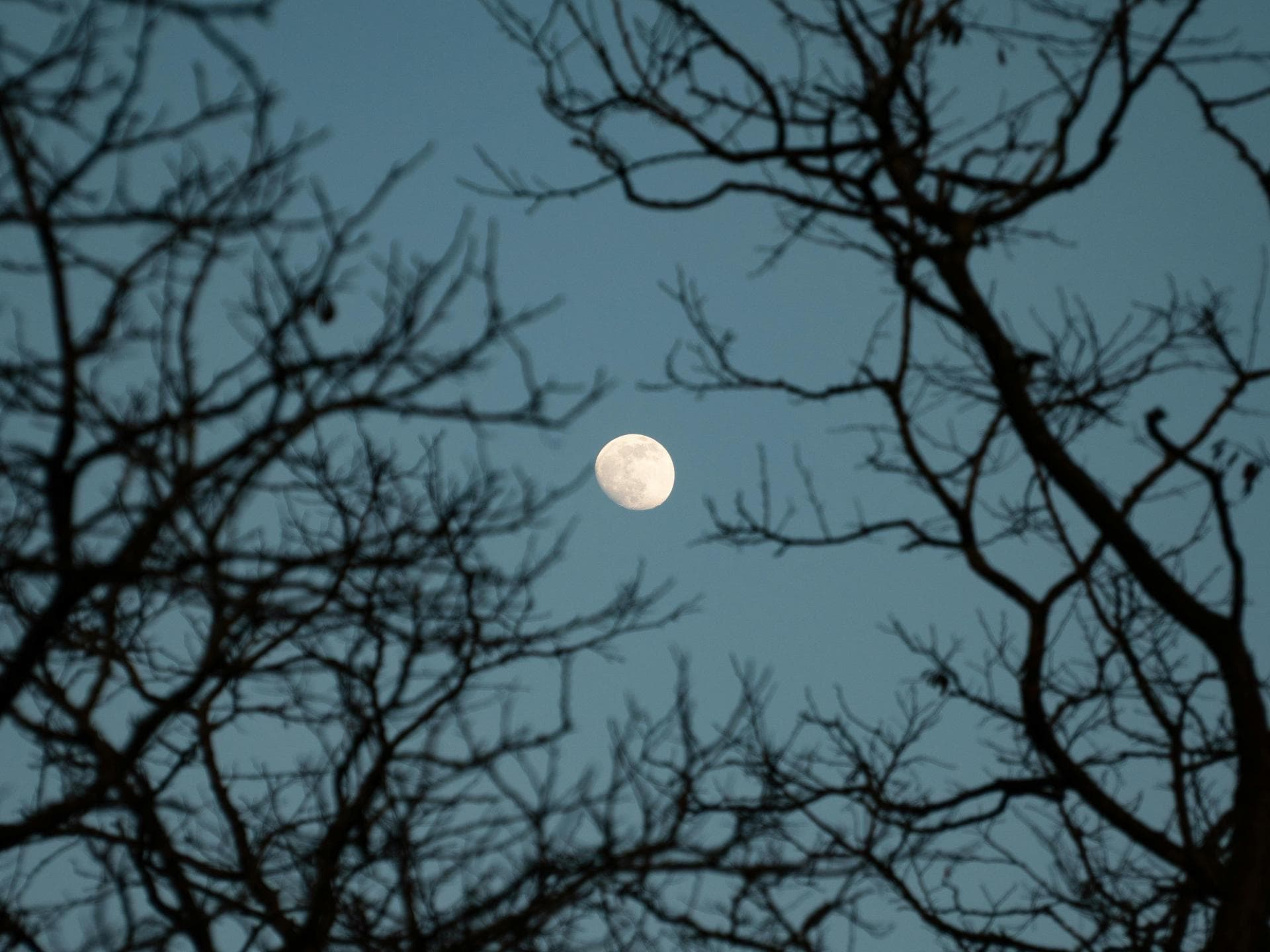 Diese 3 Sternzeichen müssen in der Skorpion-Saison besonders aufpassen
