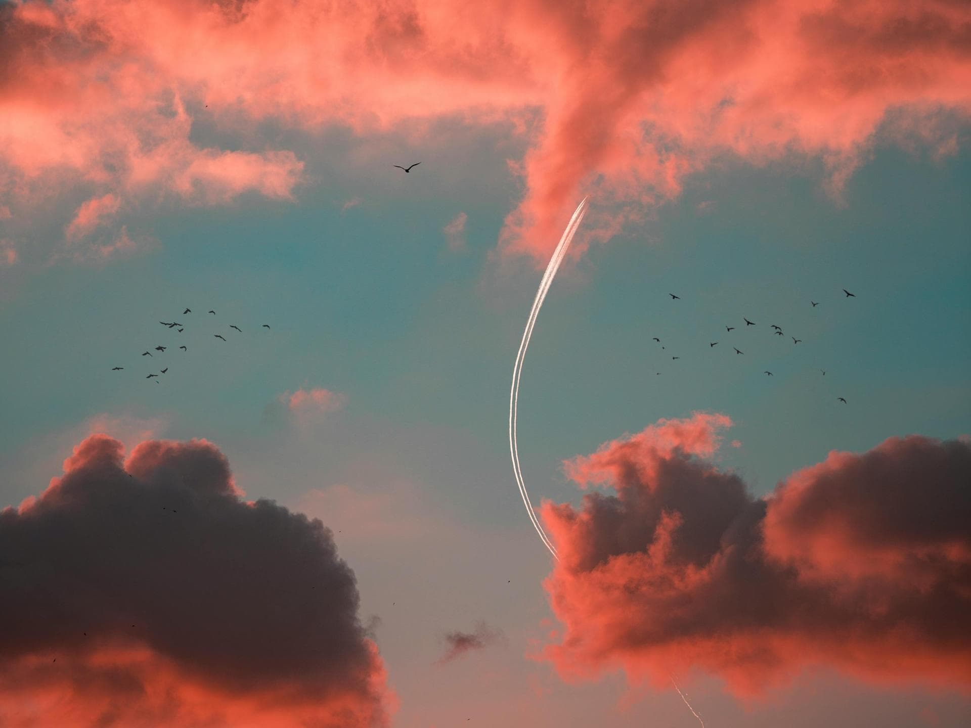 Deine Zeit ist gekommen! 3 Sternzeichen starten im November voll durch