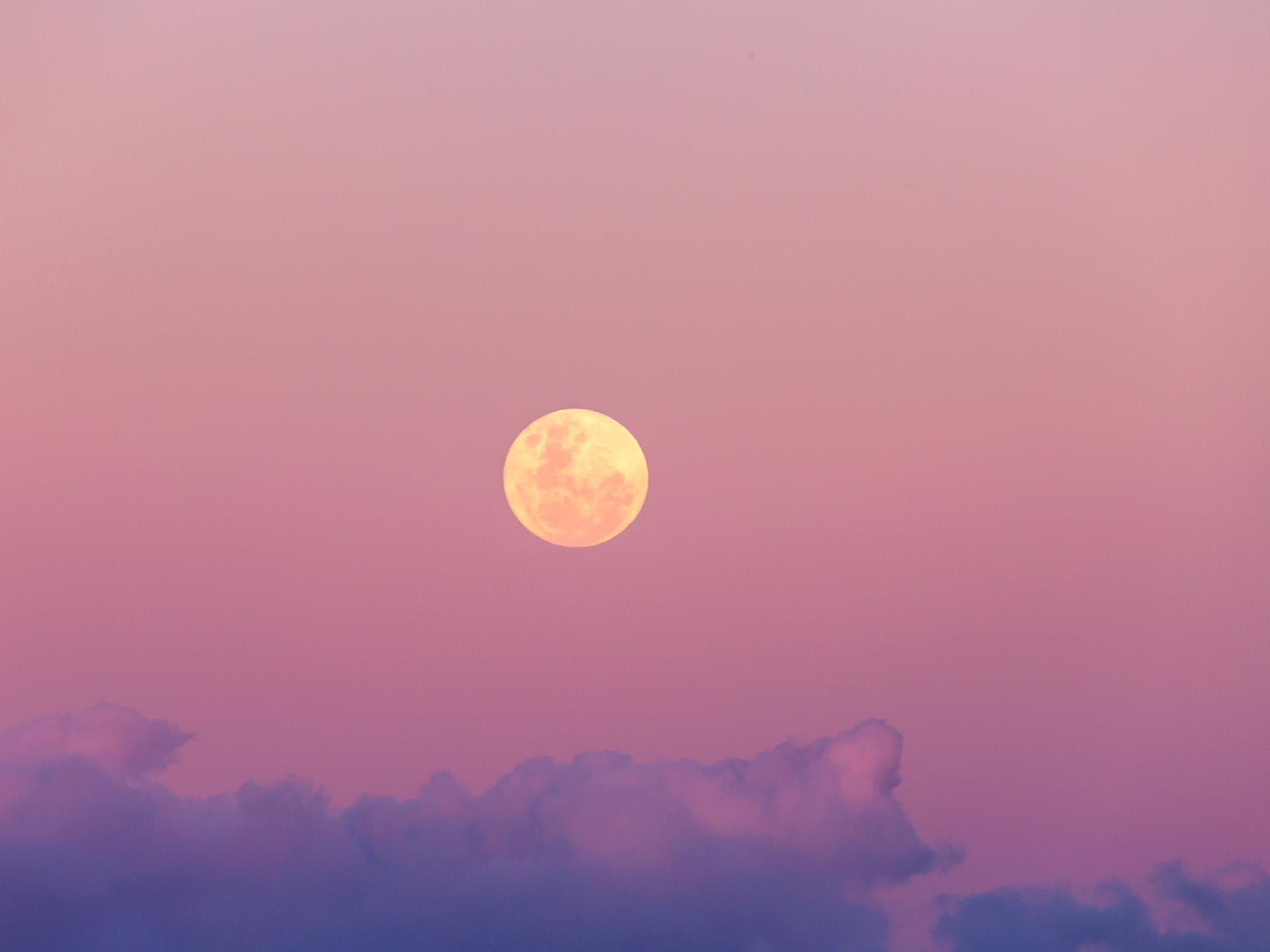 Rosa Mond