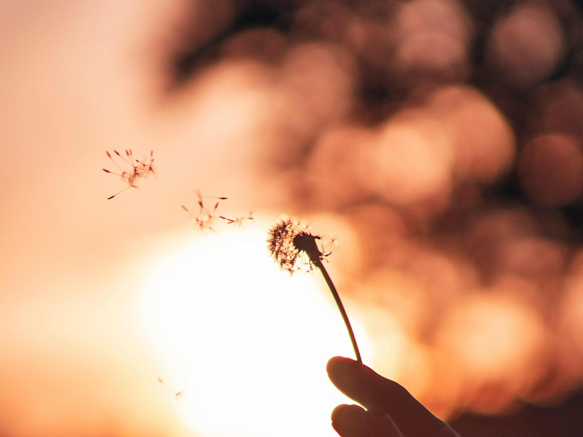 Eine langersehnte Nachricht kommt: 3 Sternzeichen können ihr Glück am Wochenende kaum fassen