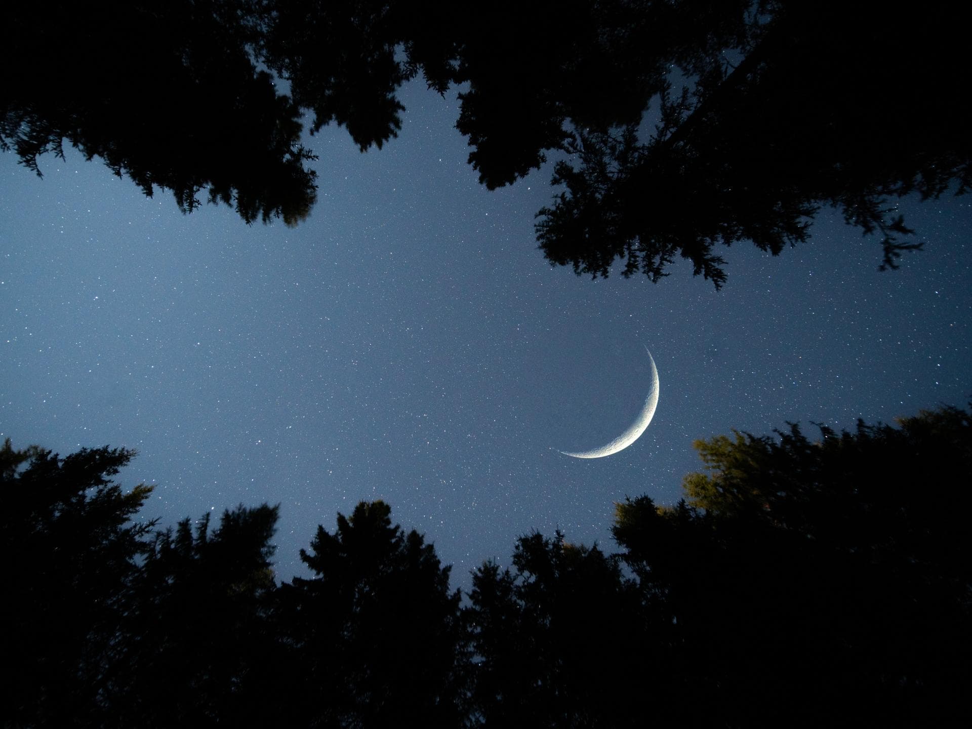 Bei diesen Sternzeichen sorgt der Juli für Herzklopen Sternenhimmel mit Mond
