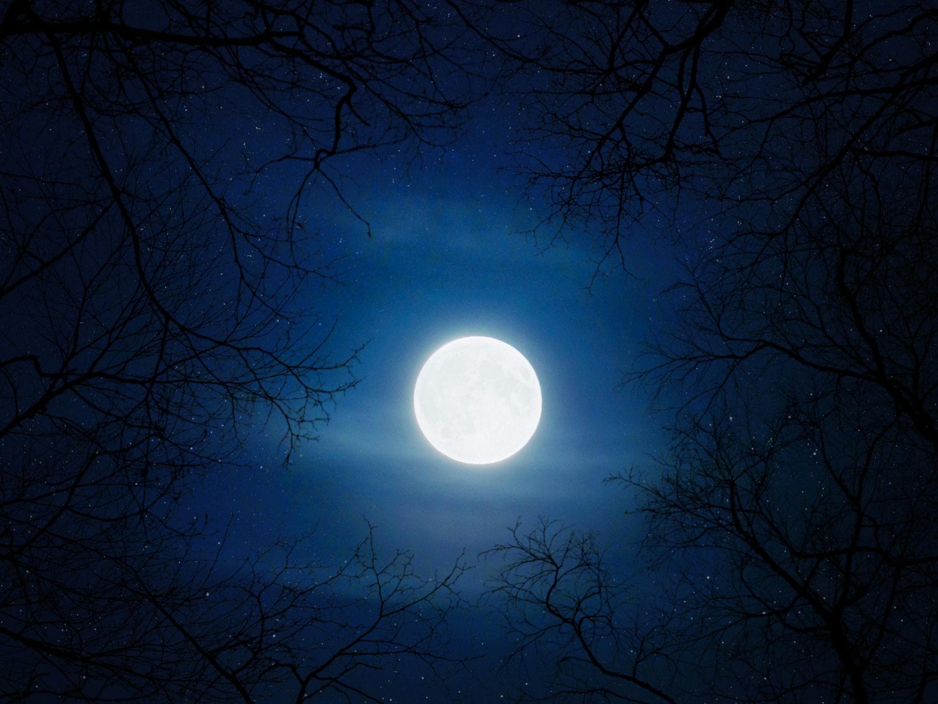 Mond nahe Antares: 3 Sternzeichen werden am 14. Januar von ihrer Vergangenheit eingeholt