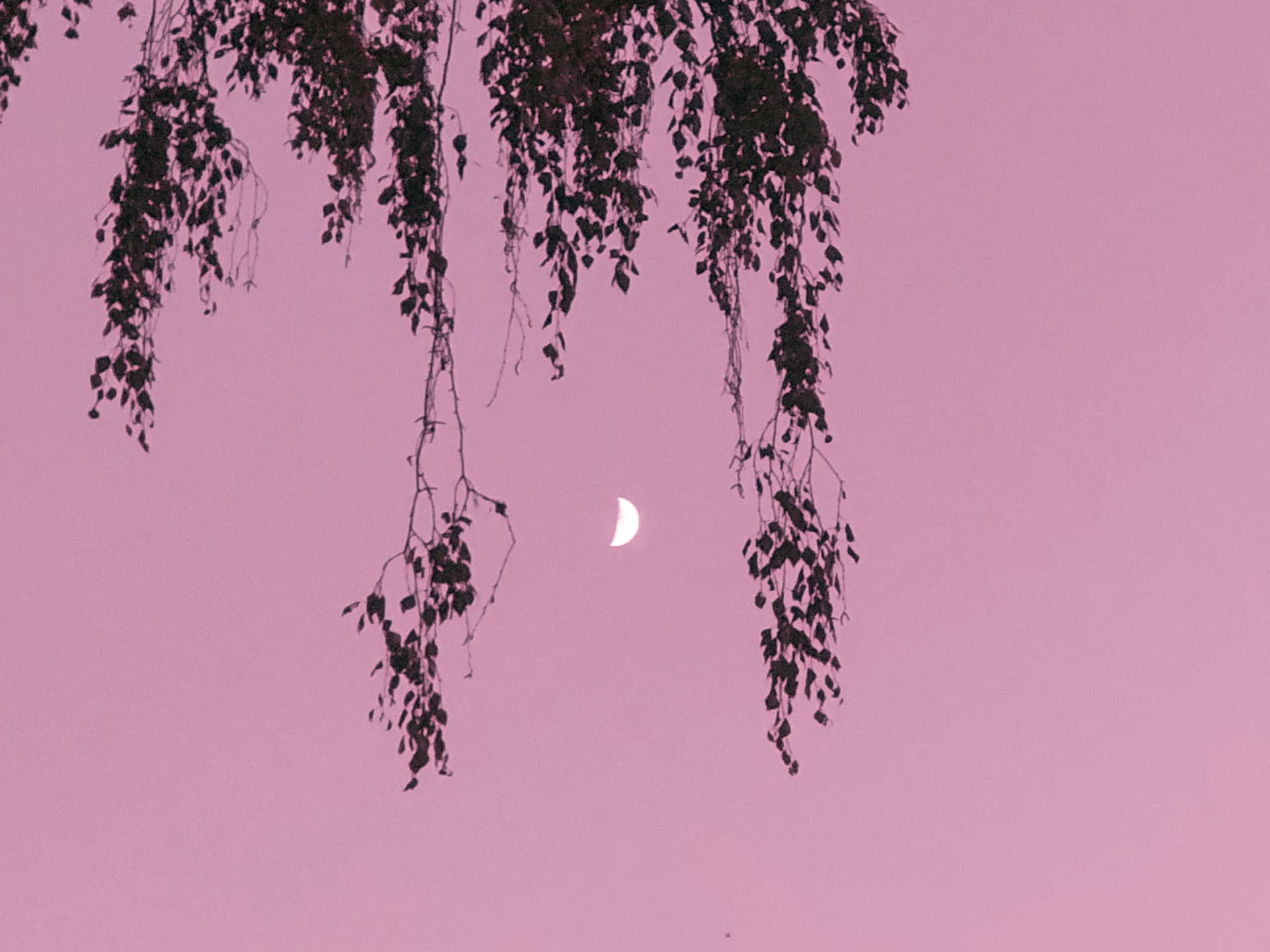 Horoskop heute: Dein Tageshoroskop am 23. Dezember 2025