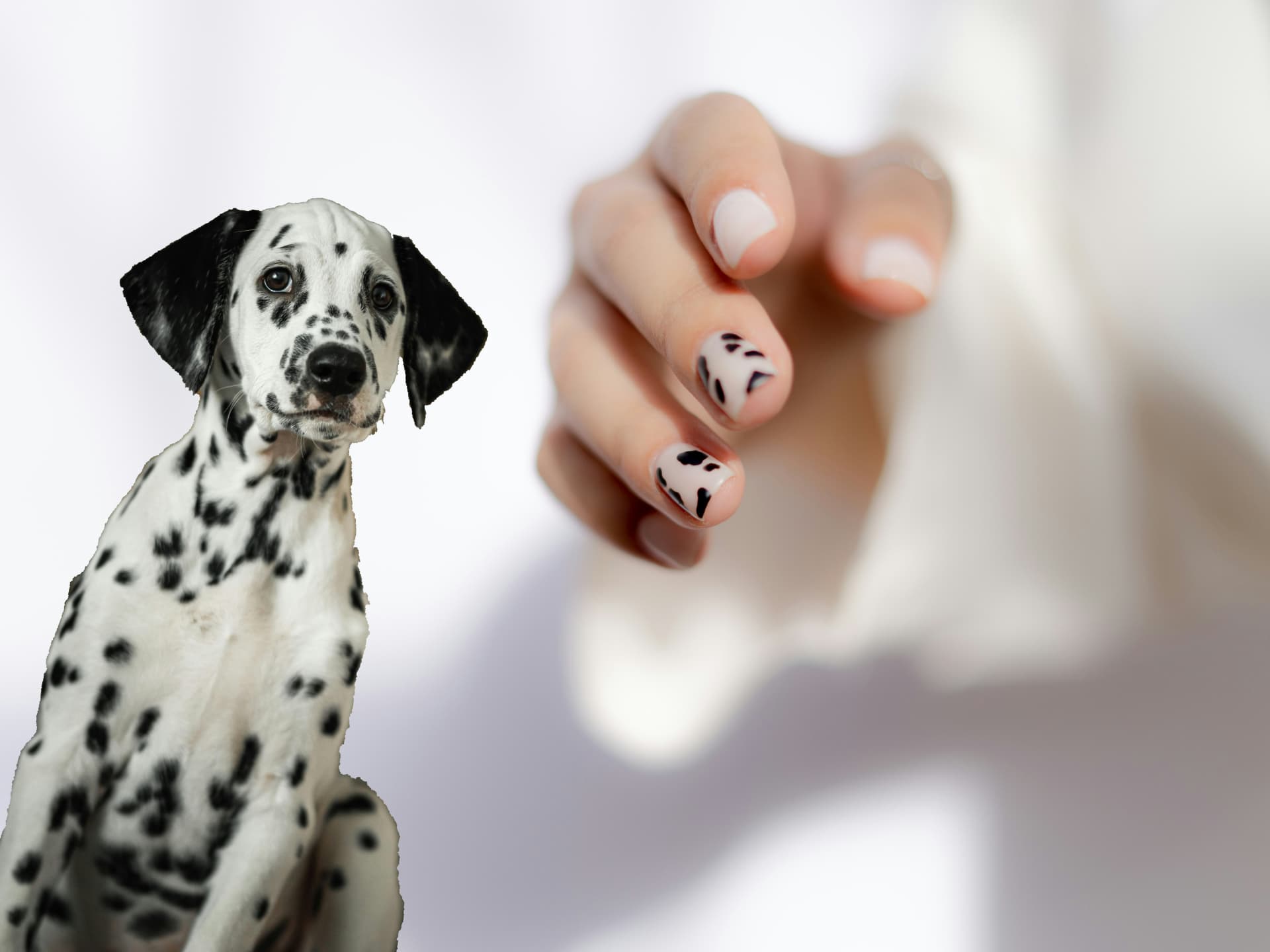 Clean & chic: Dalmatiner Nägel sind die süßeste Maniküre der Saison