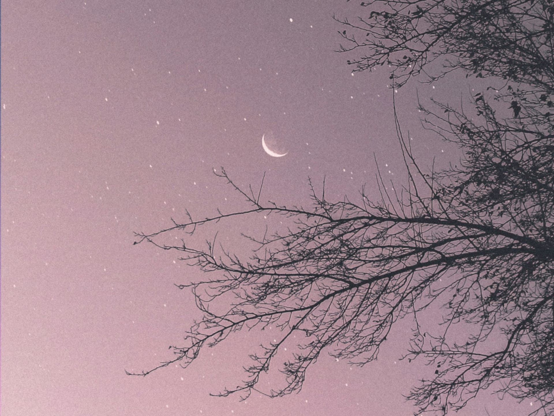 Horoskop heute: Dein Tageshoroskop am 7. Januar 2026