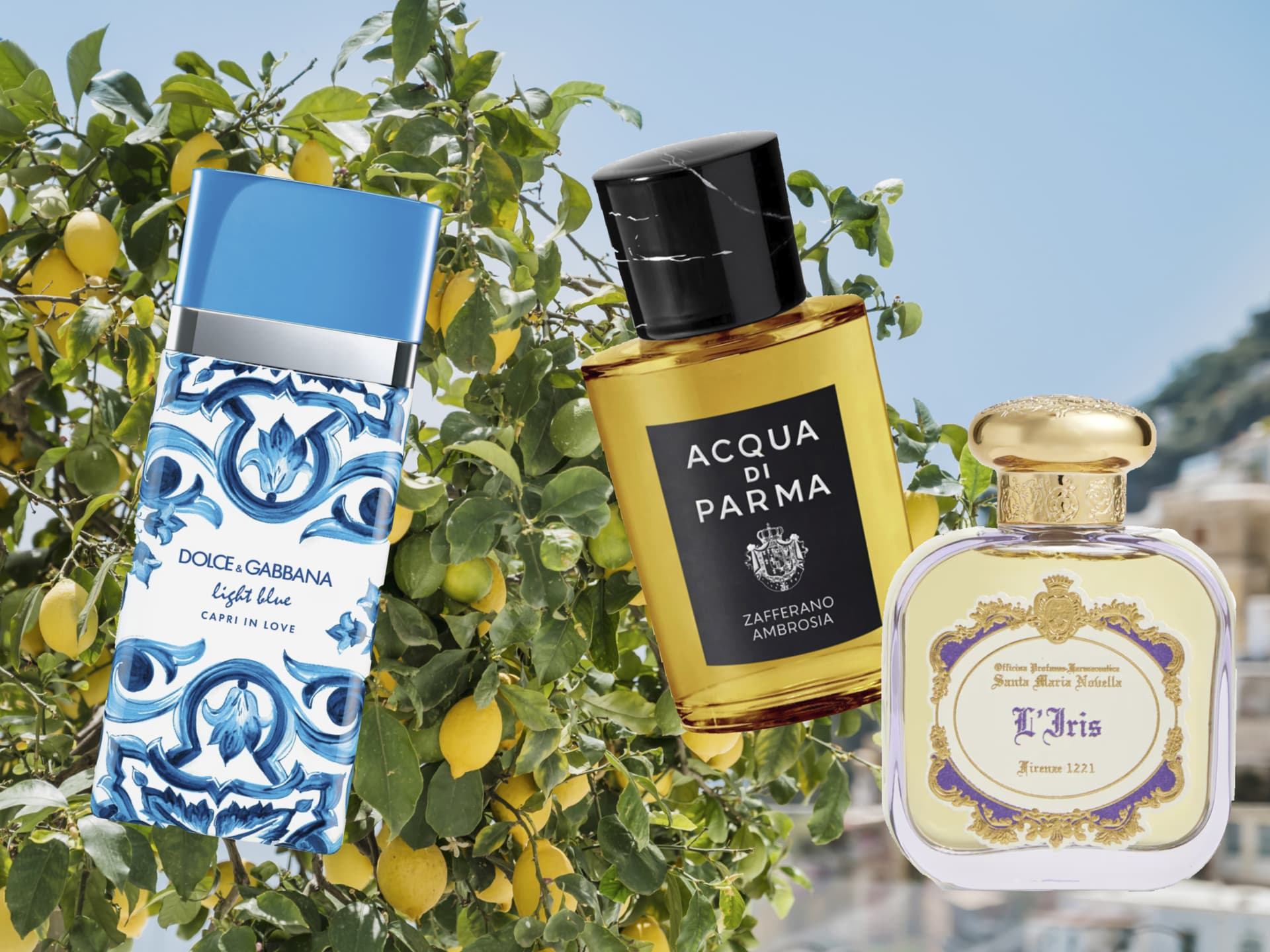 La Dolce Vita Parfums