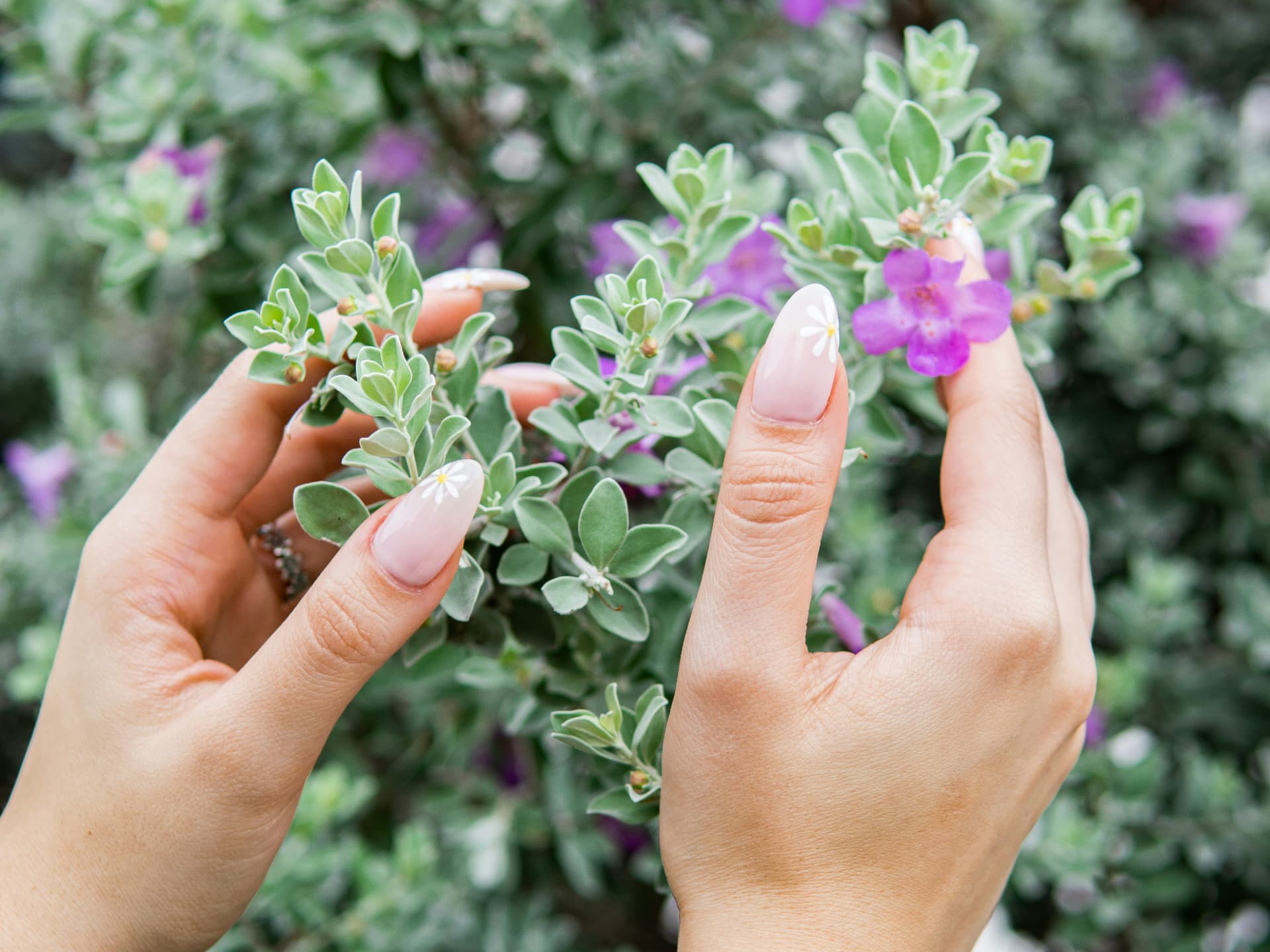 Nägel mit Blumendesign