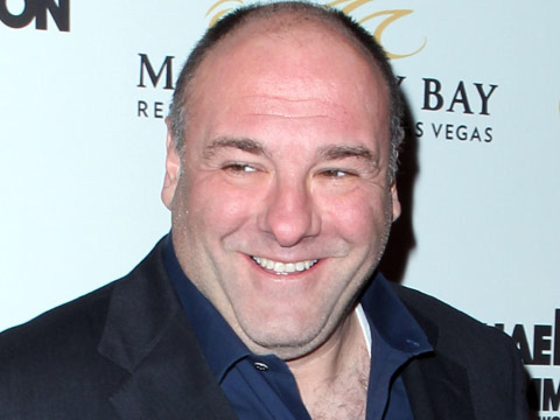 jamesgandolfini-tot-480x360-1819508.jpg jamesgandolfini-tot-480x360-1819508.jpg