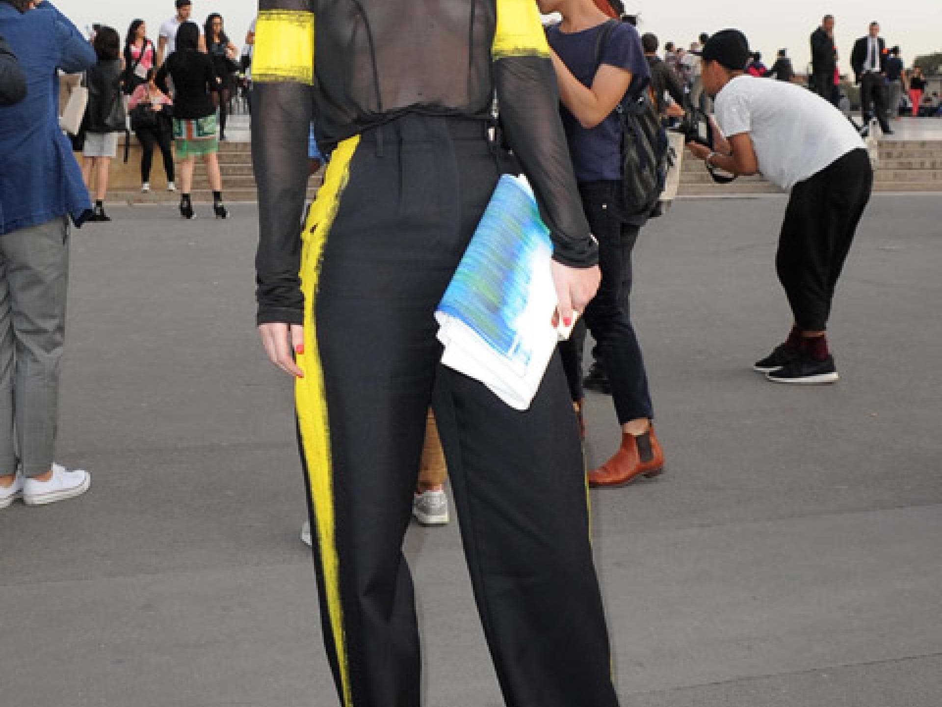 iggy-1863469.jpg iggy-1863469.jpg