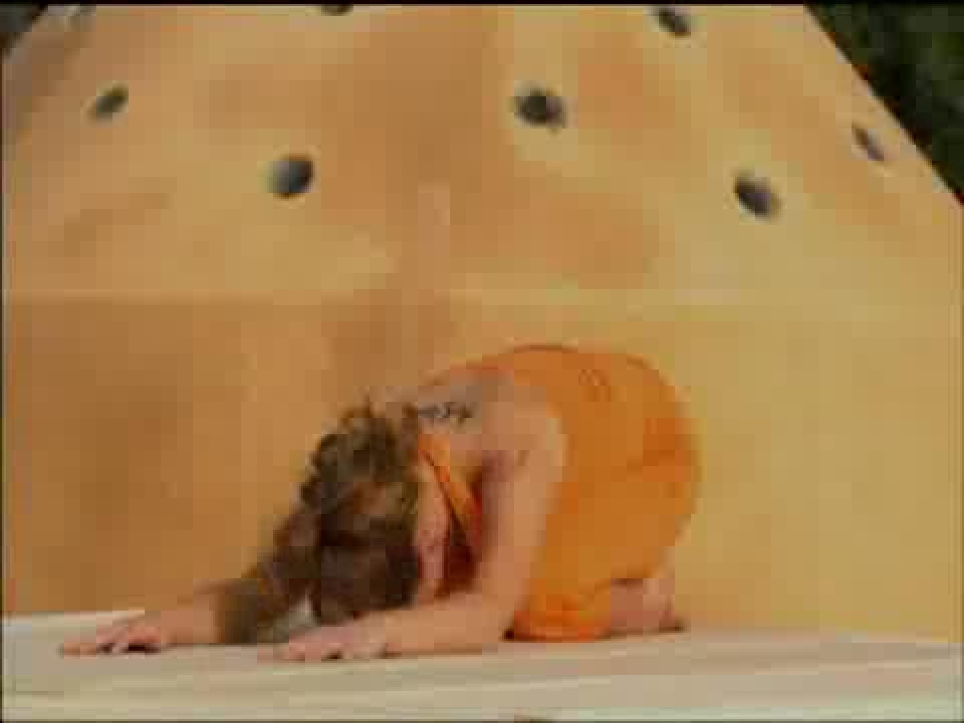 yoga-video-drehendes-helden-dreieck-480x360-1237865.jpg yoga-video-drehendes-helden-dreieck-480x360-1237865.jpg