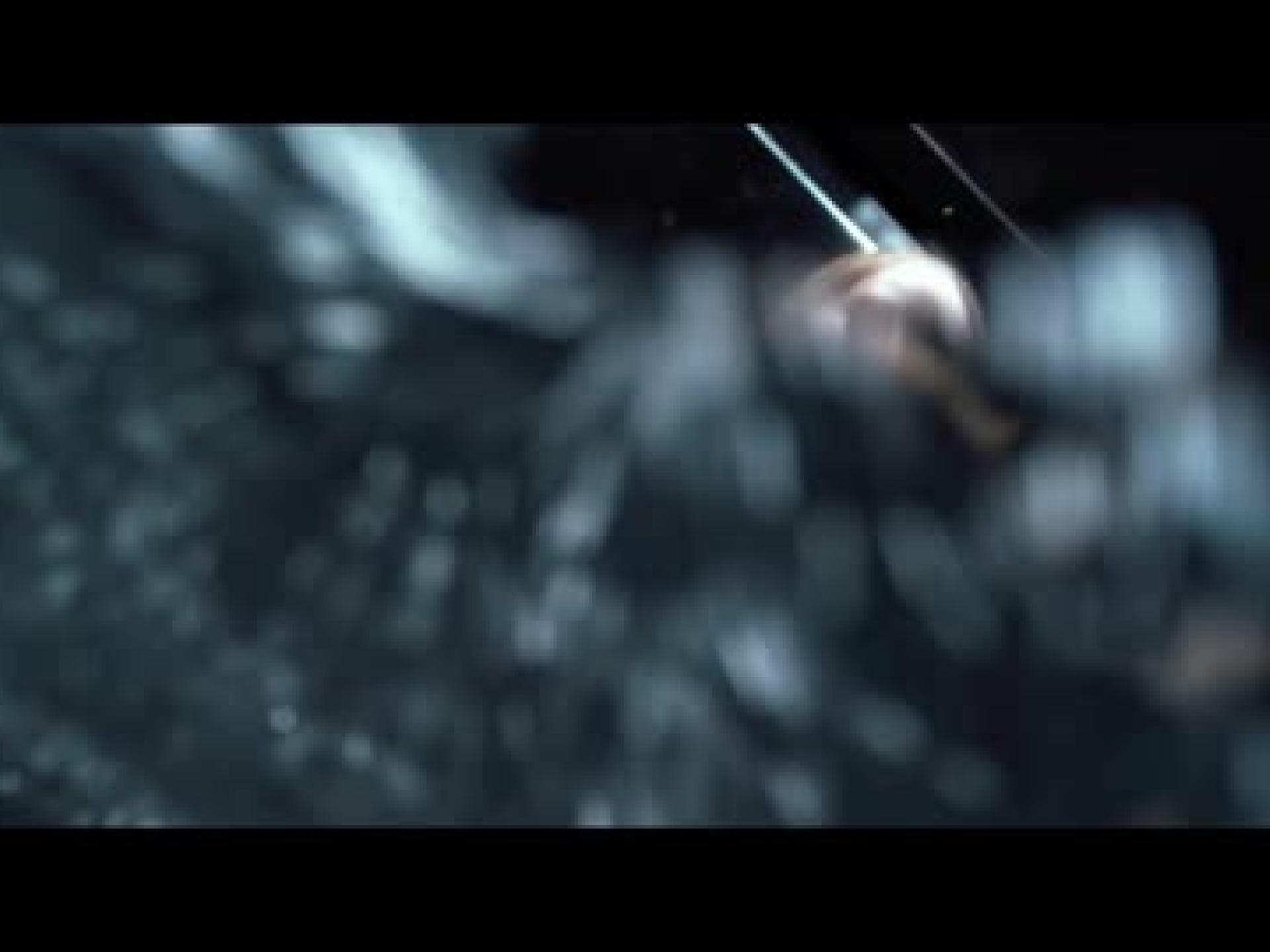 videoclip-divergent-die-bestimmung-480x270-1927830.jpg
