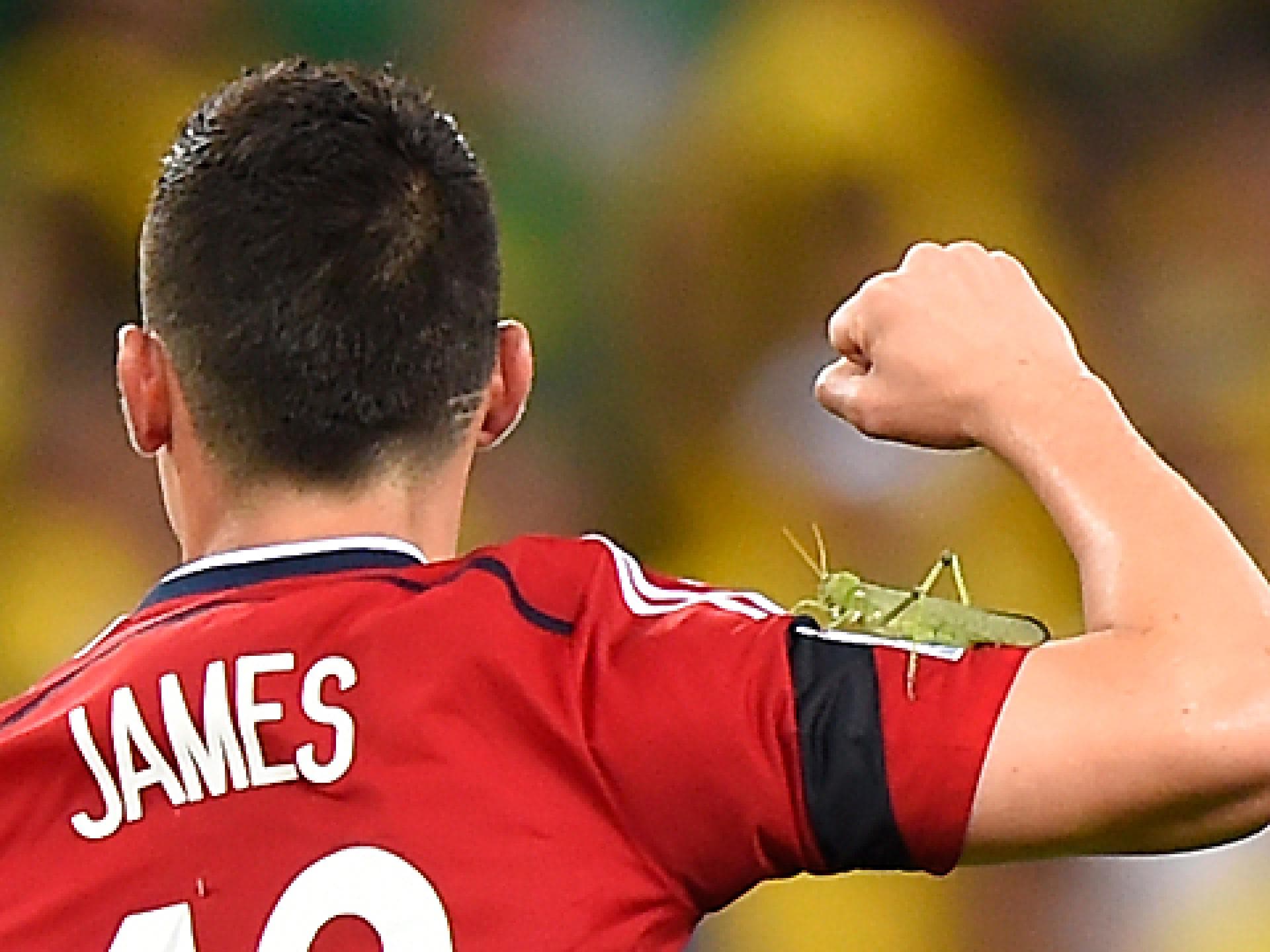 james-rodriguez-insekten-attacke-1967304.jpg james-rodriguez-insekten-attacke-1967304.jpg