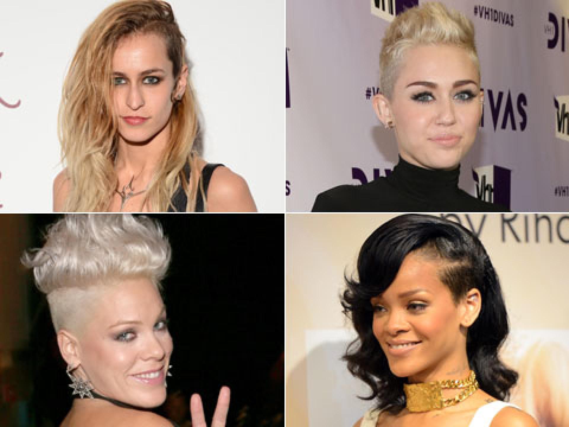 sidecut-480x360-1732333.jpg