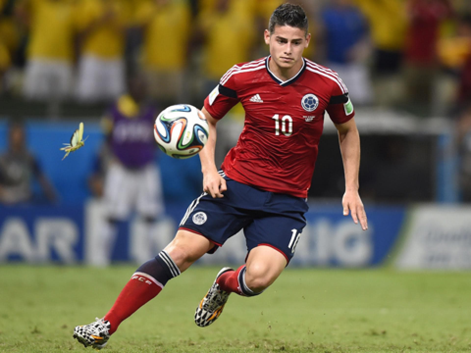 james-rodriguez-insekt-1967304.jpg james-rodriguez-insekt-1967304.jpg