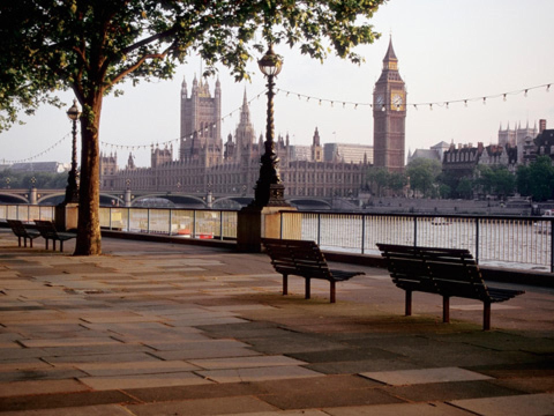 london480x360-455802.jpg