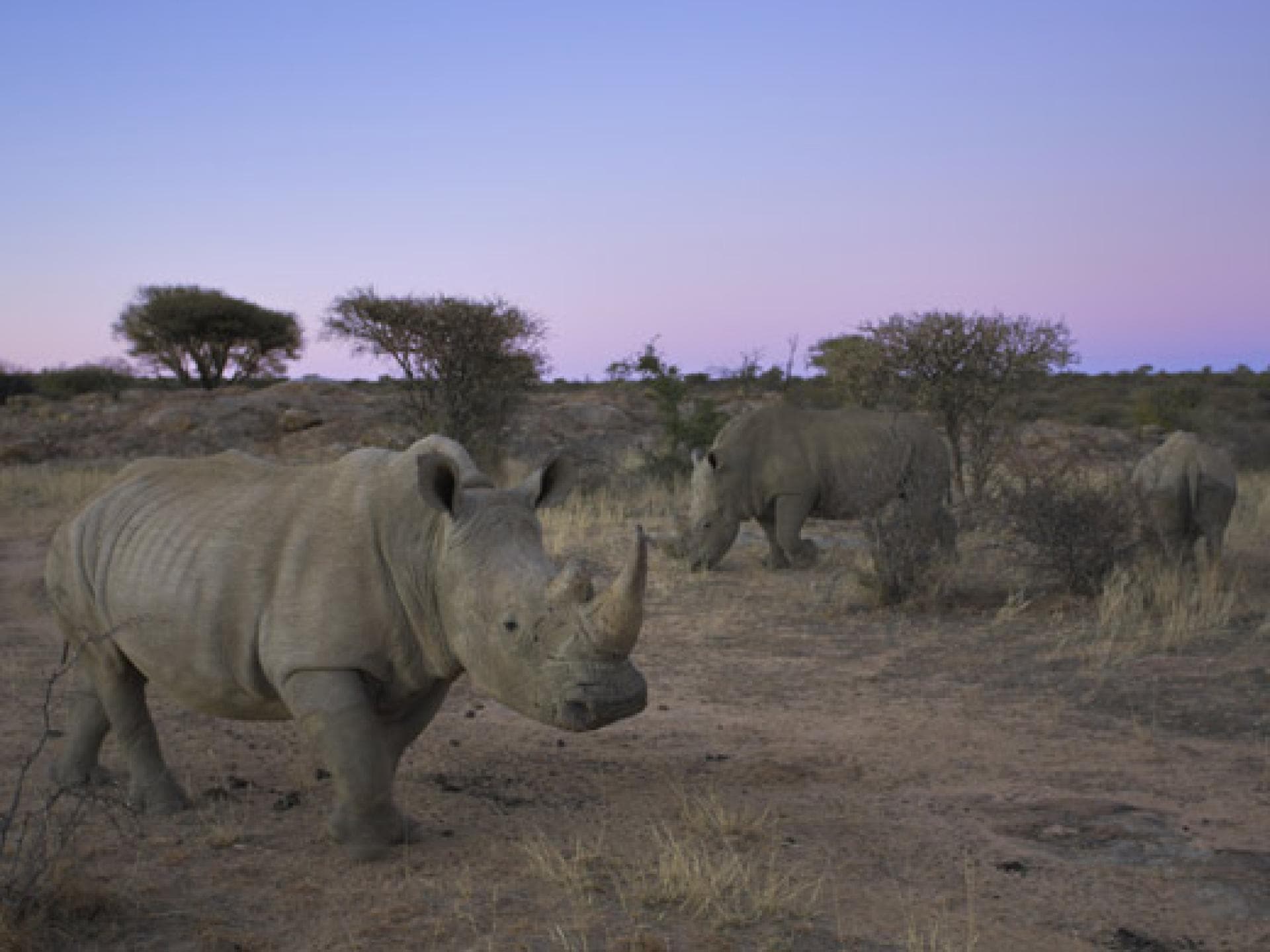 namibia-520x390-1334966.jpg