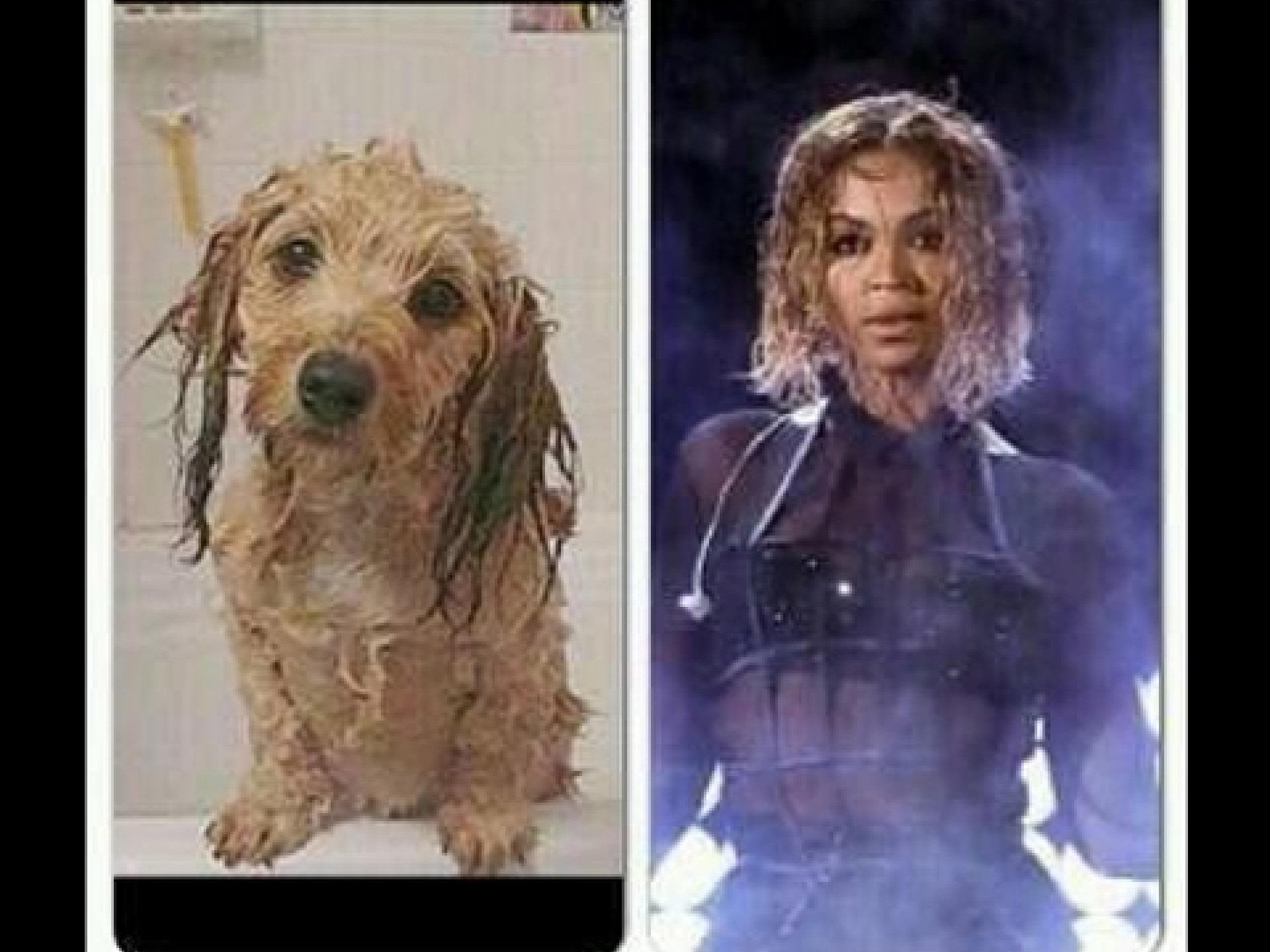 beyonce-meme-besser-1911814.jpg beyonce-meme-besser-1911814.jpg