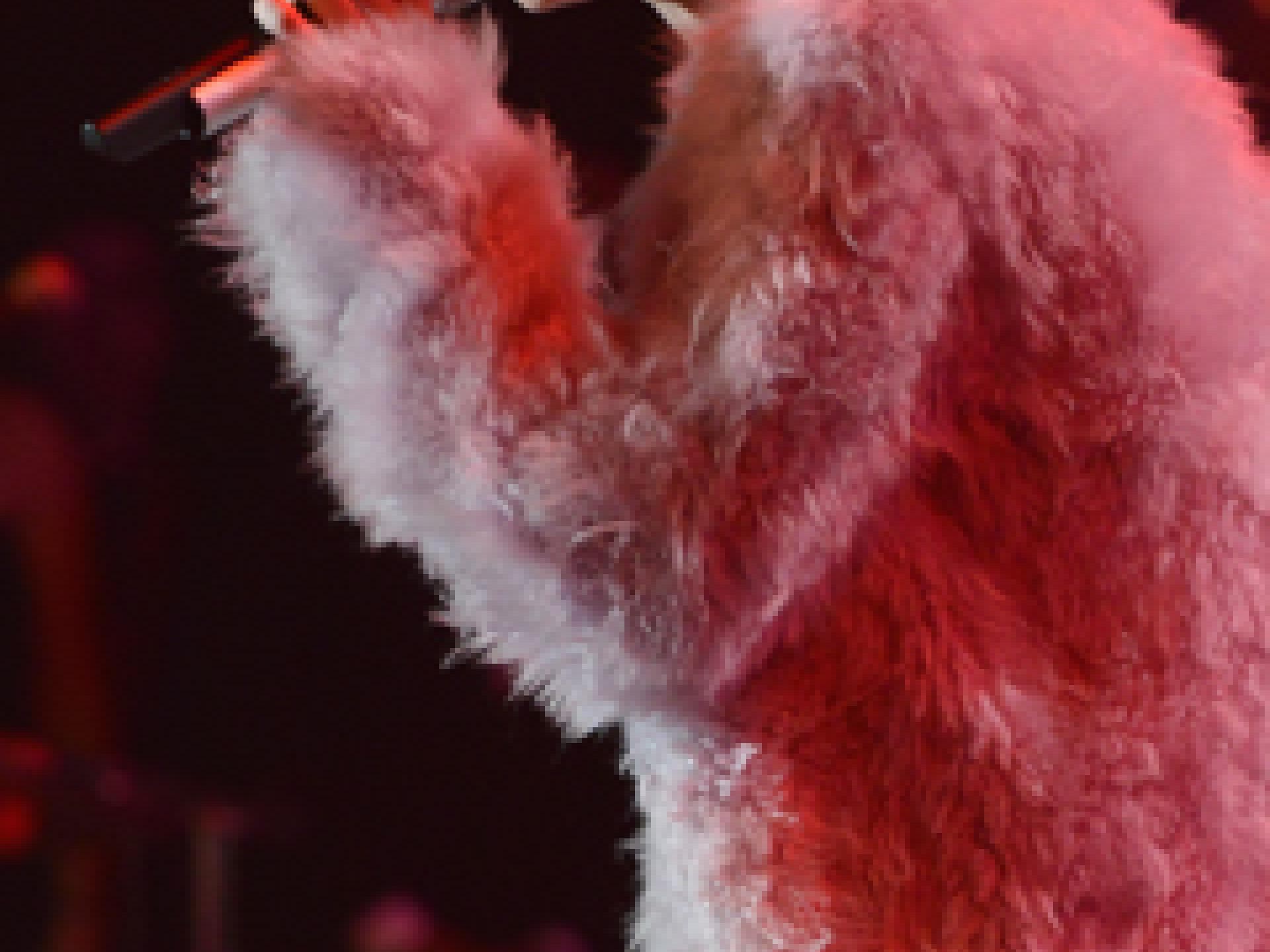 miley-cyrus-frisur-buehne-240x300-1911796.jpg