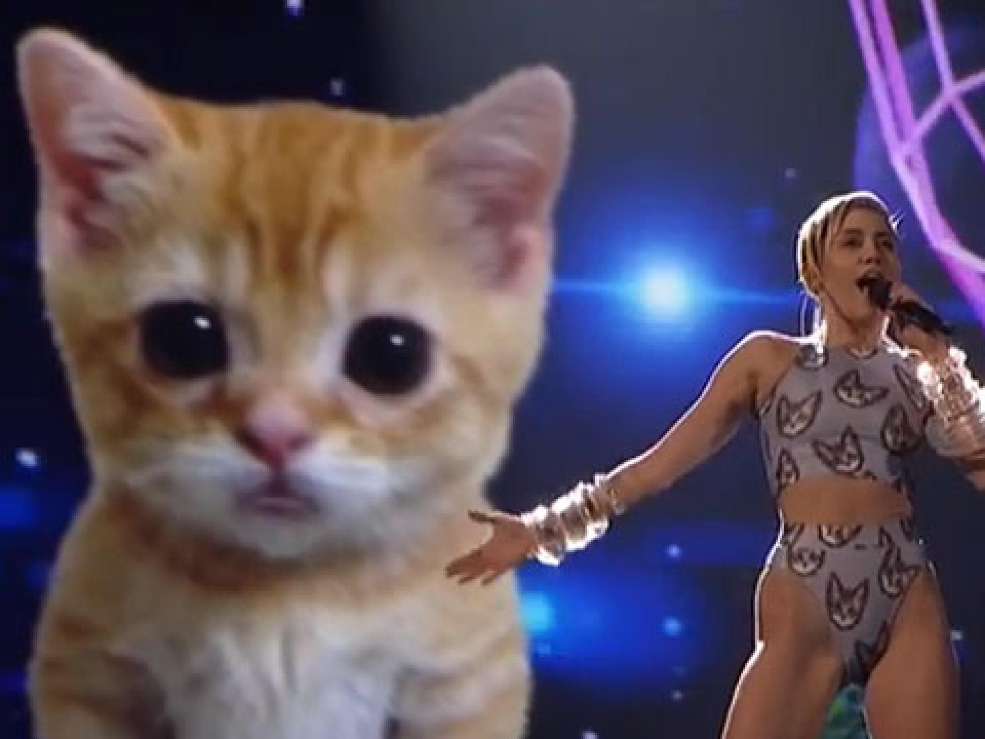singing-cat-miley-cyrus-480x360-1888498.jpg singing-cat-miley-cyrus-480x360-1888498.jpg