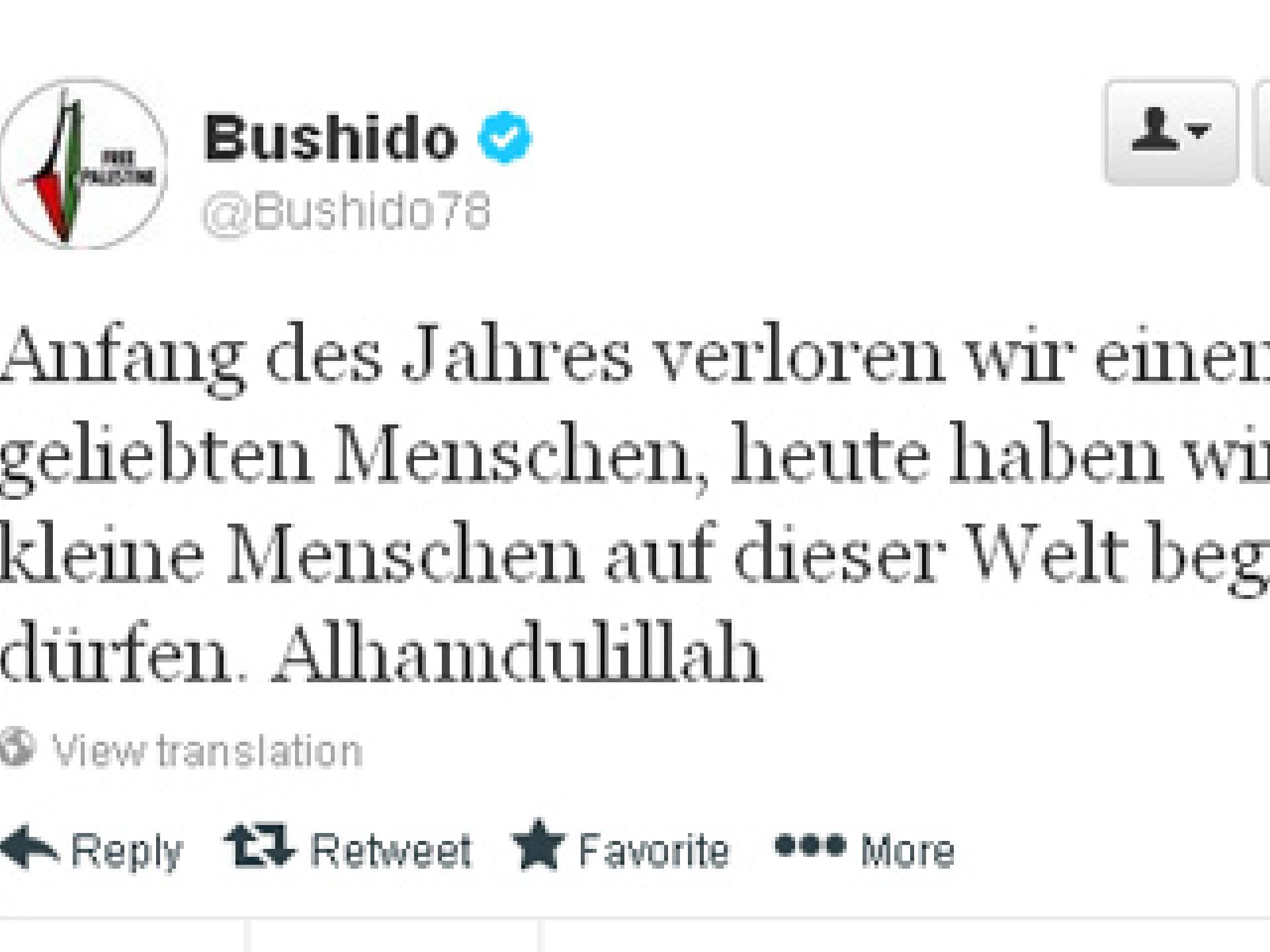 bushido-tweet-zwillinge-1886863.jpg bushido-tweet-zwillinge-1886863.jpg
