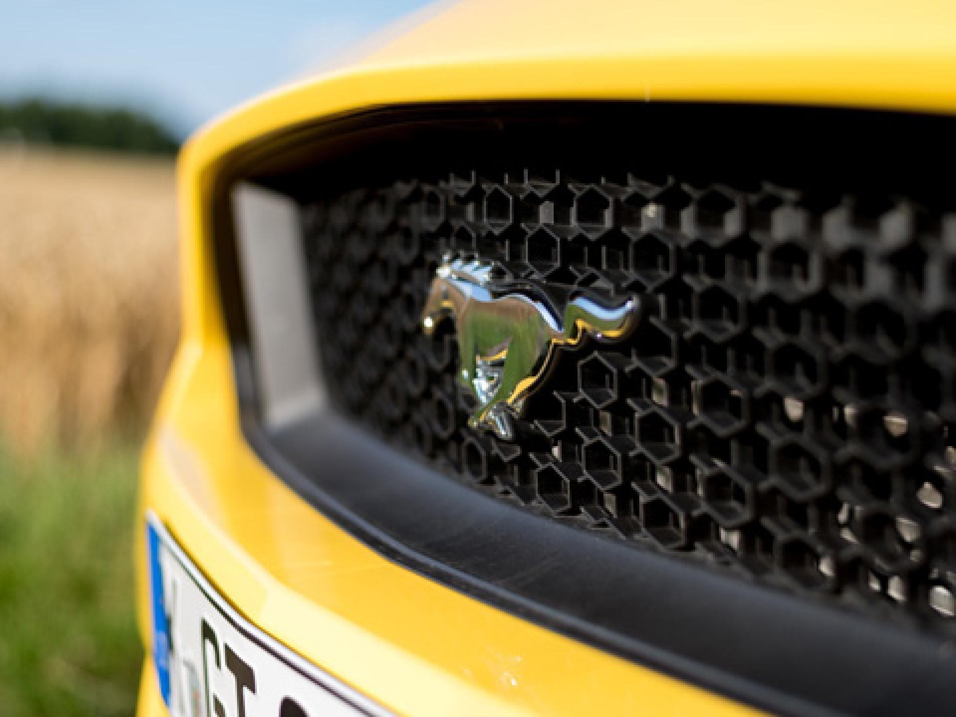 ford-mustang-vorne-2073664.jpg ford-mustang-vorne-2073664.jpg